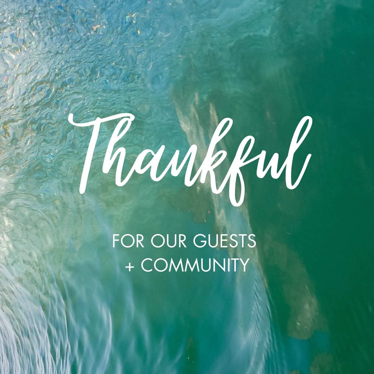 We&rsquo;re feeling especially grateful this season. 💛 Thank you to our guests and community for showing up for our beach cleanups and recent food drive! Your support truly makes a difference.