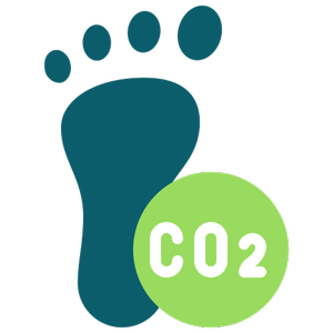 Footprint with a green circle containing 'CO2'
