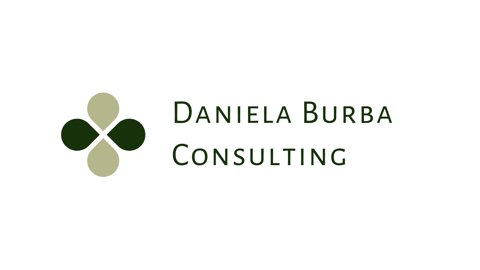 Daniela Burba Consulting Logo and Link