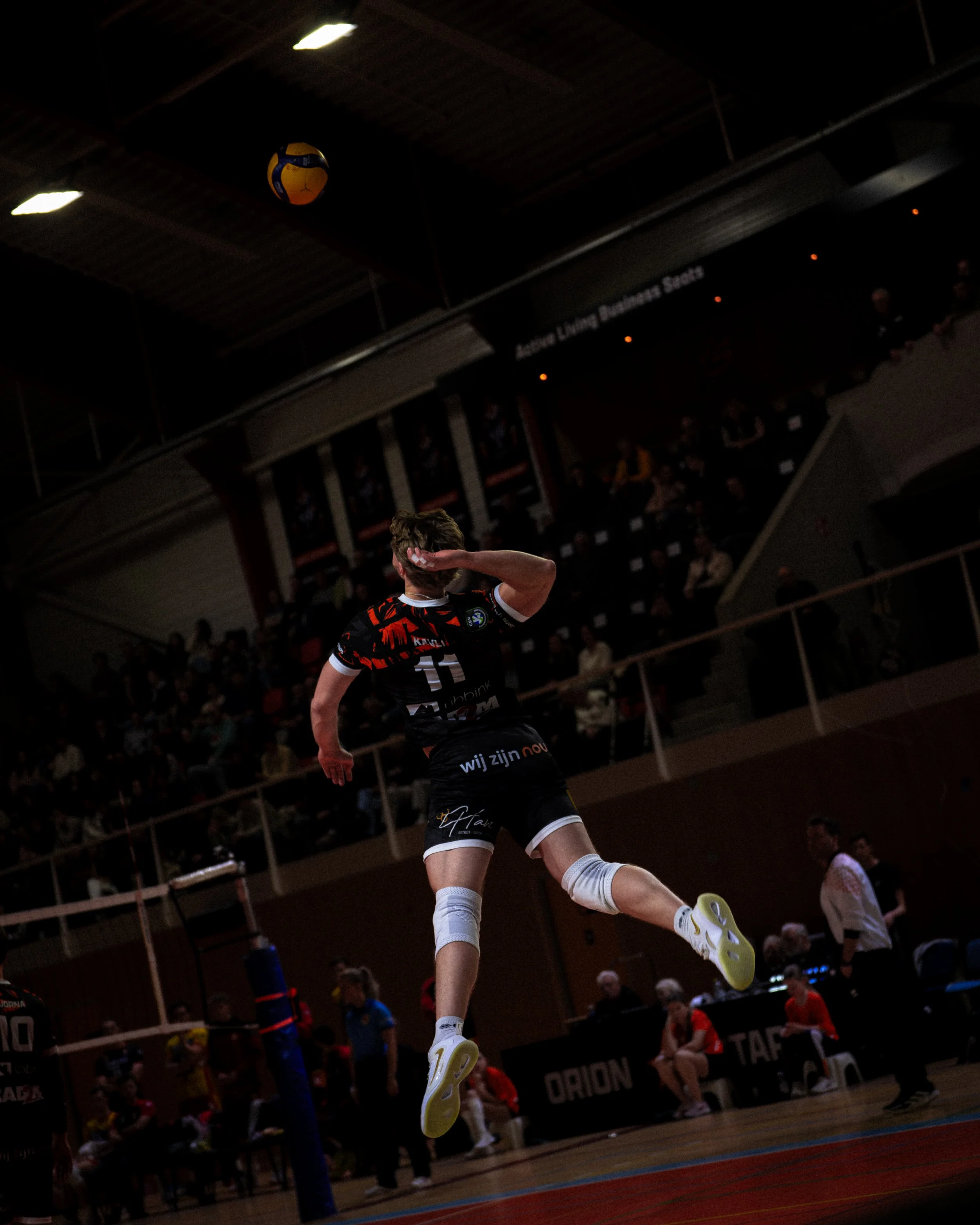 Orion Stars-02172.jpg