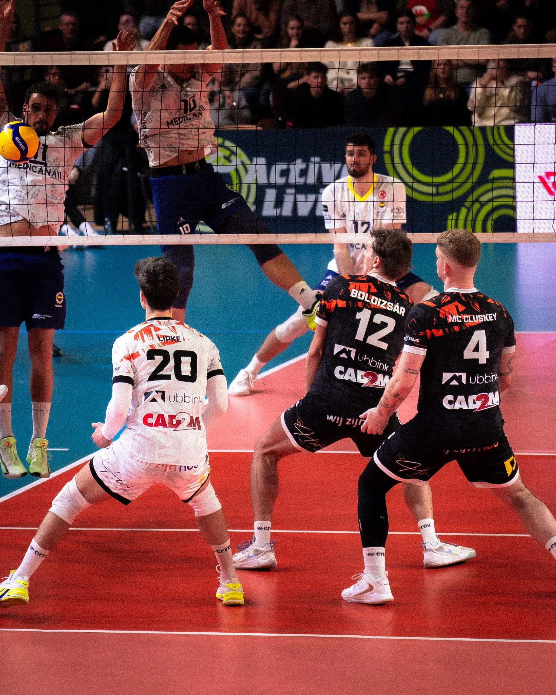 Orion Stars Fenerbahce-04373.jpg