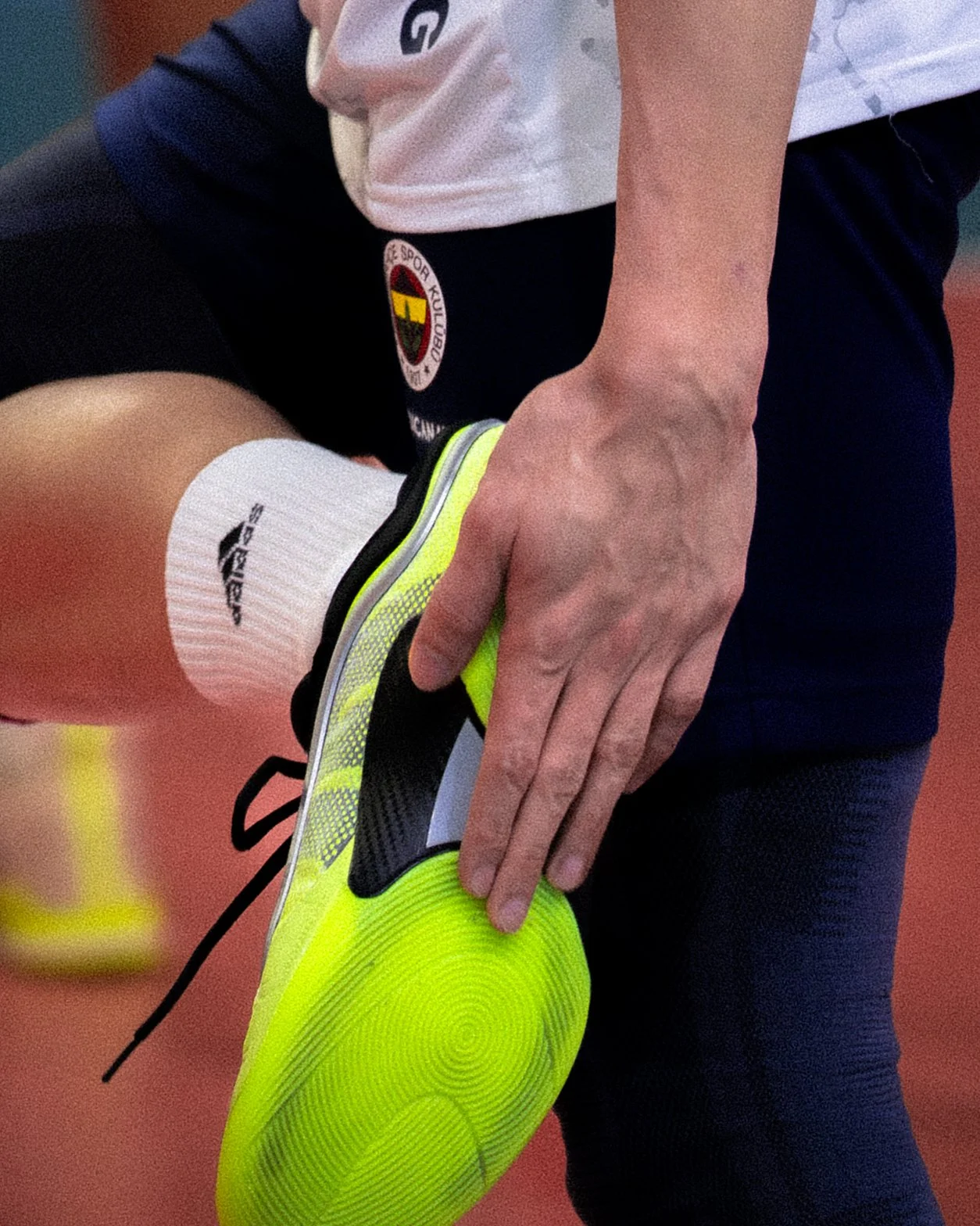 Orion Stars Fenerbahce-03894.jpg