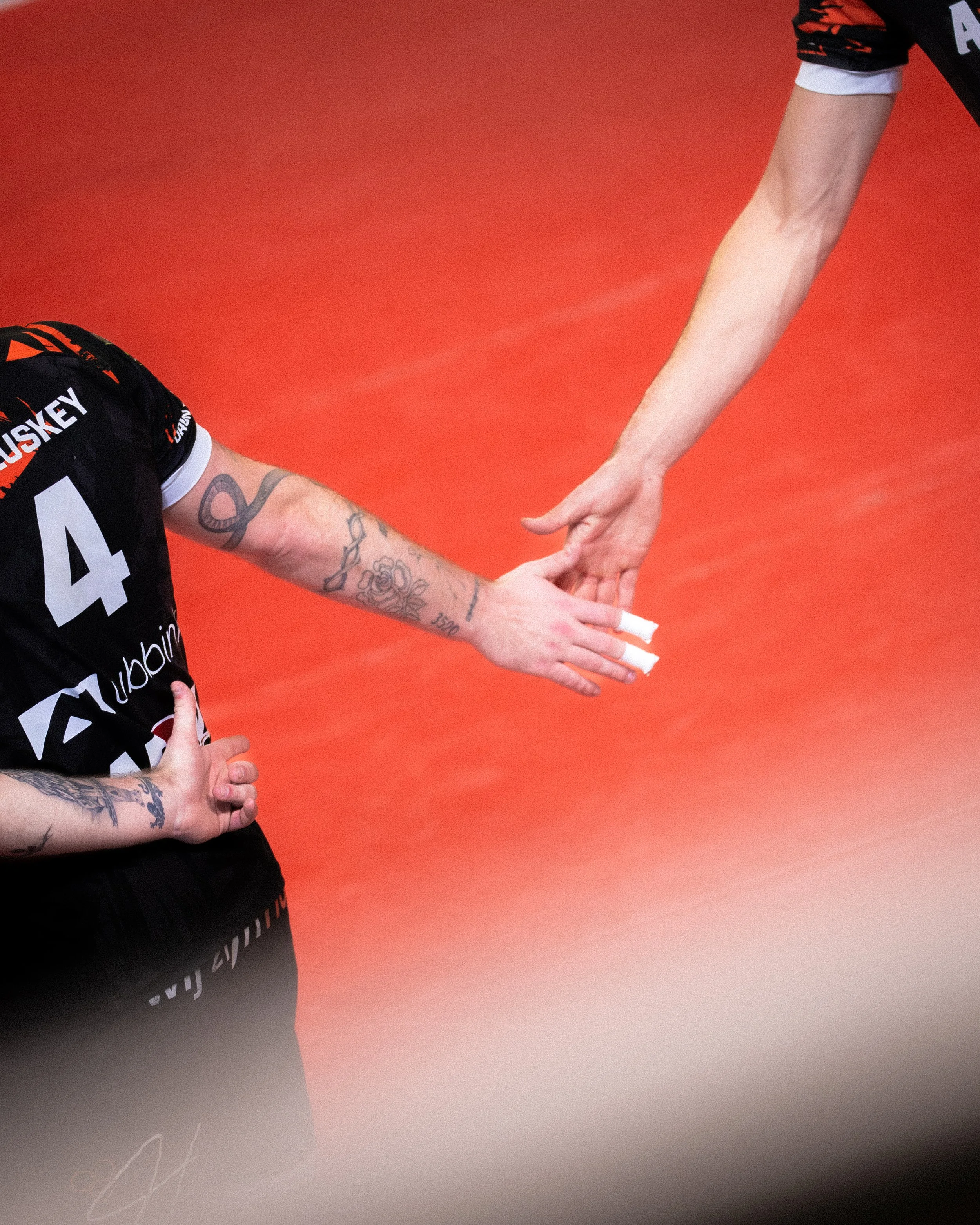 Orion Stars Fenerbahce-04494.jpg