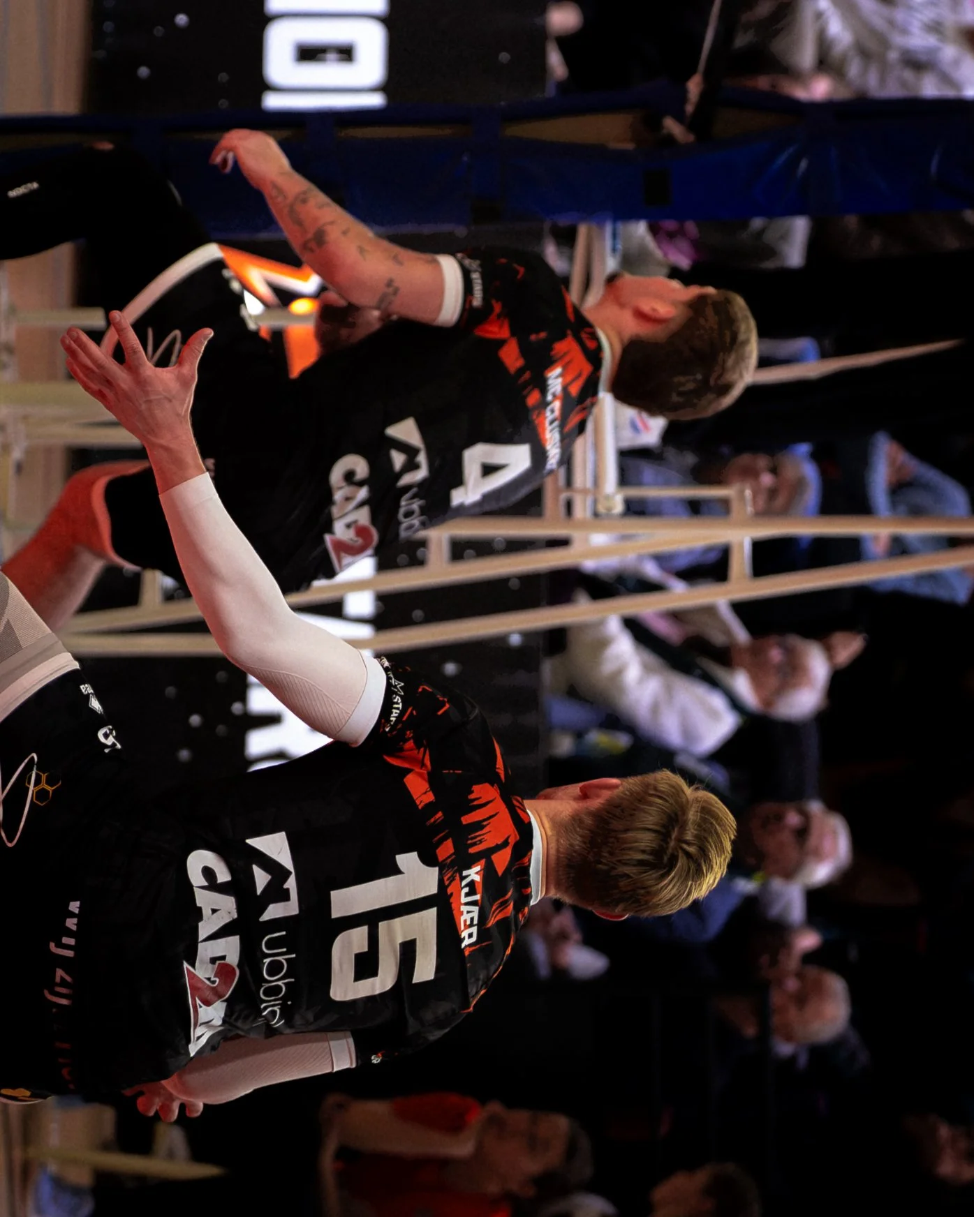 Orion Stars-01255.jpg