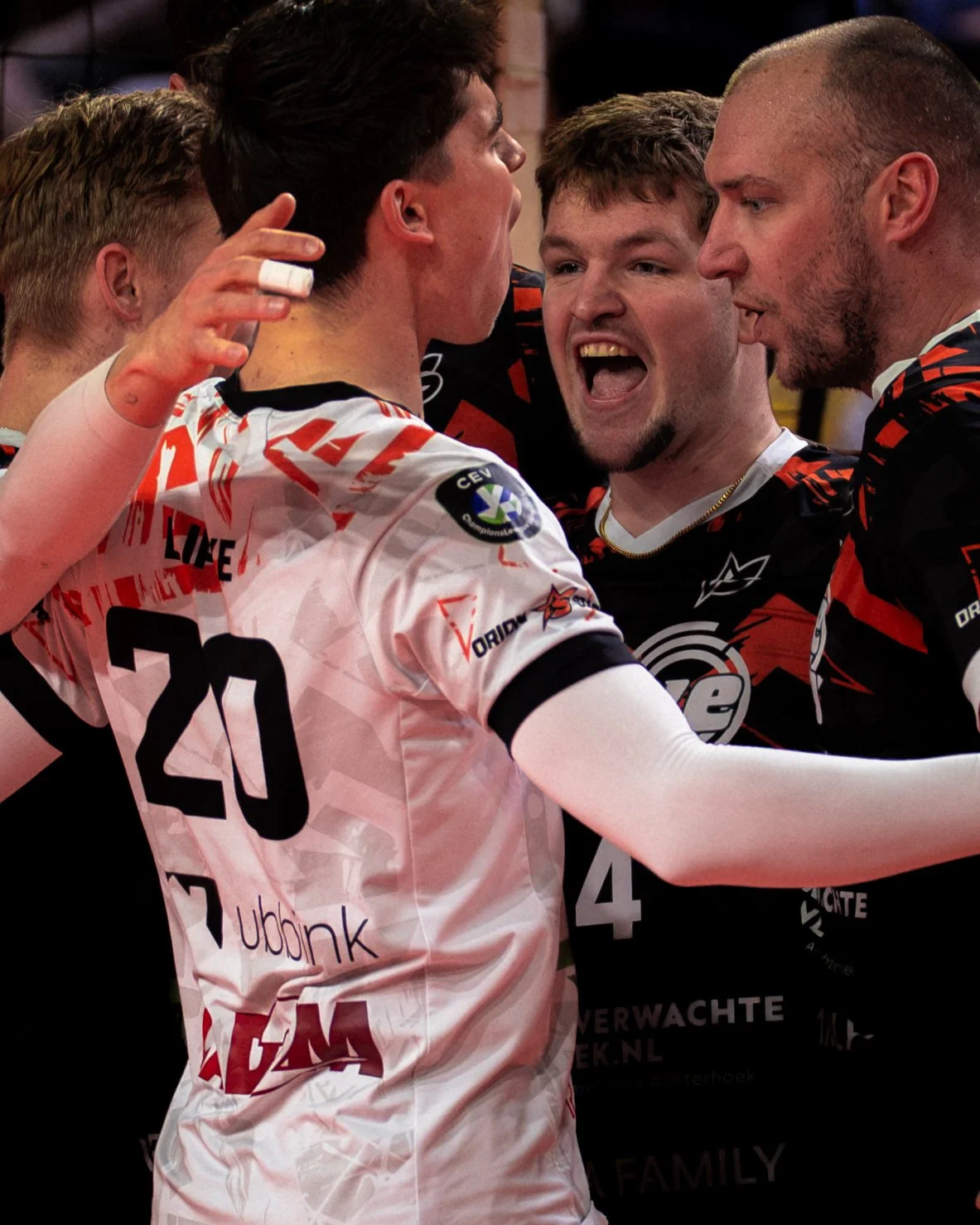 Orion Stars-01158.jpg