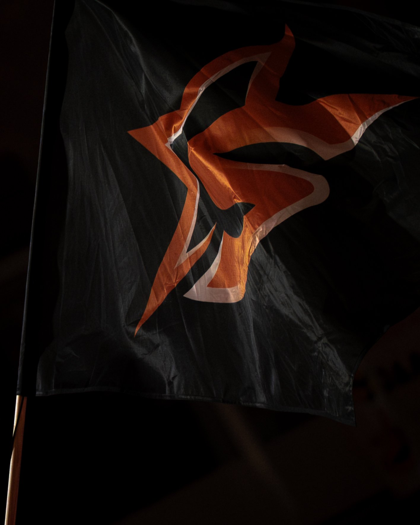 Orion Stars-03192.jpg