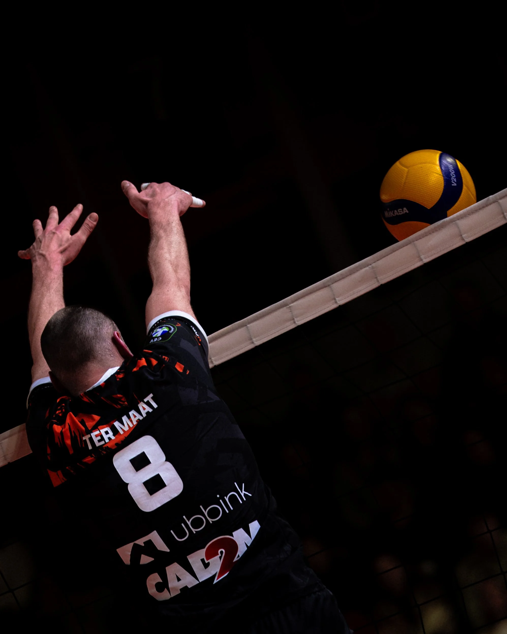 Orion Stars-01808.jpg