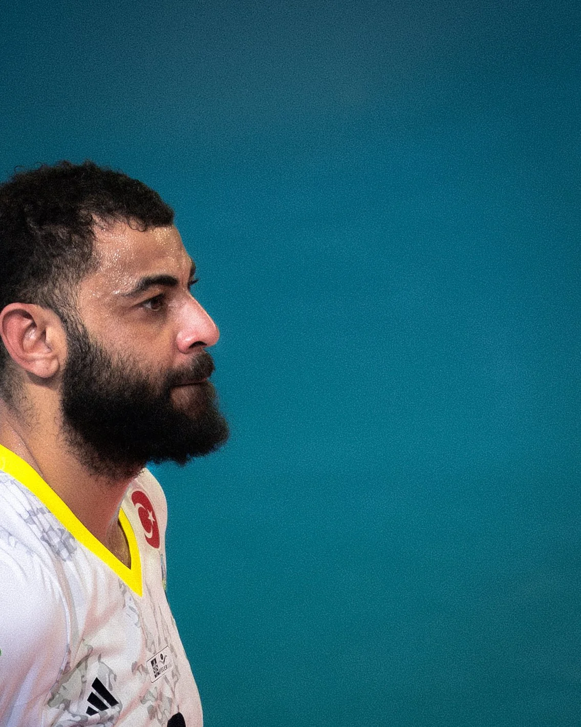 Orion Stars Fenerbahce-05835.jpg