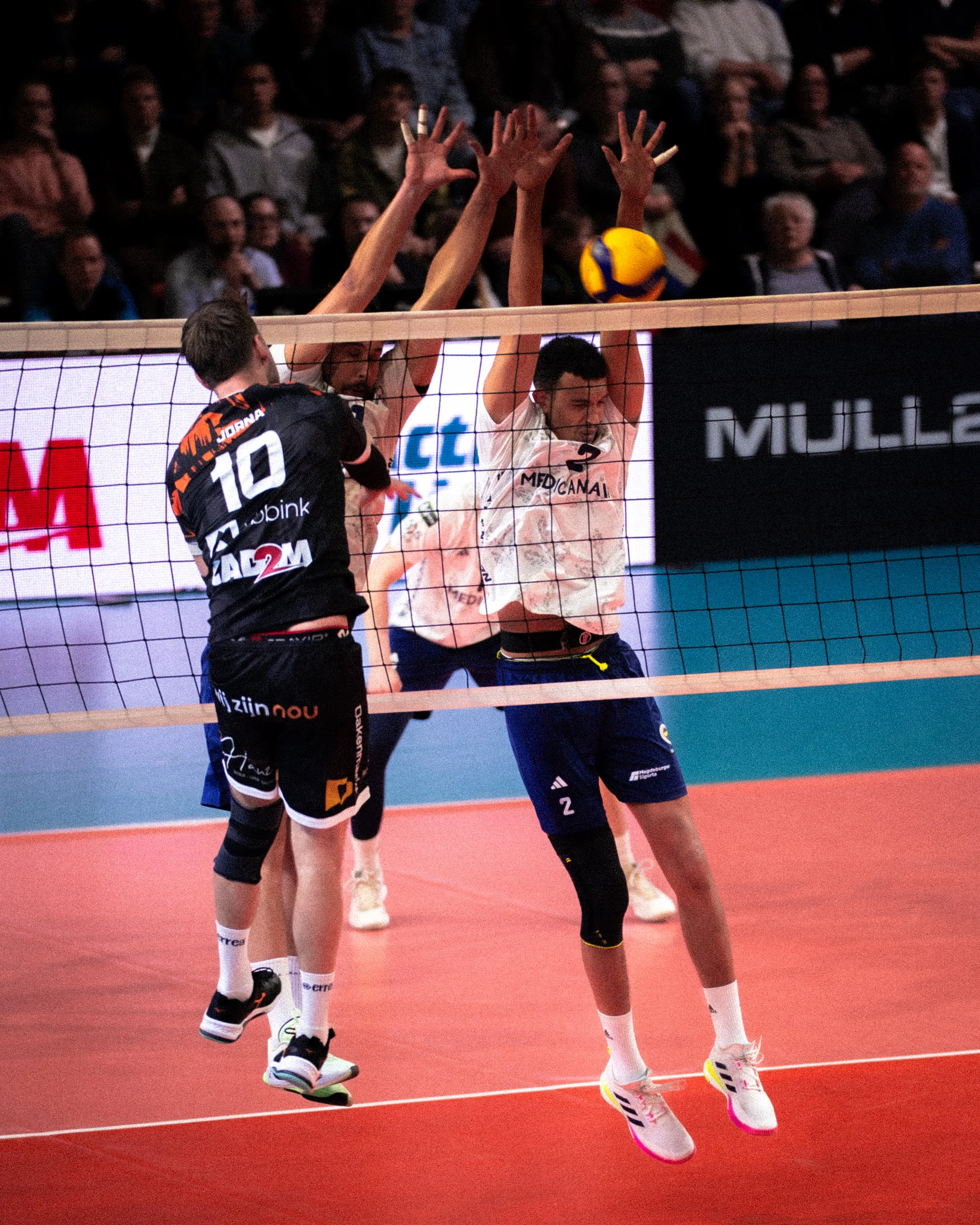 Orion Stars Fenerbahce-06066.jpg