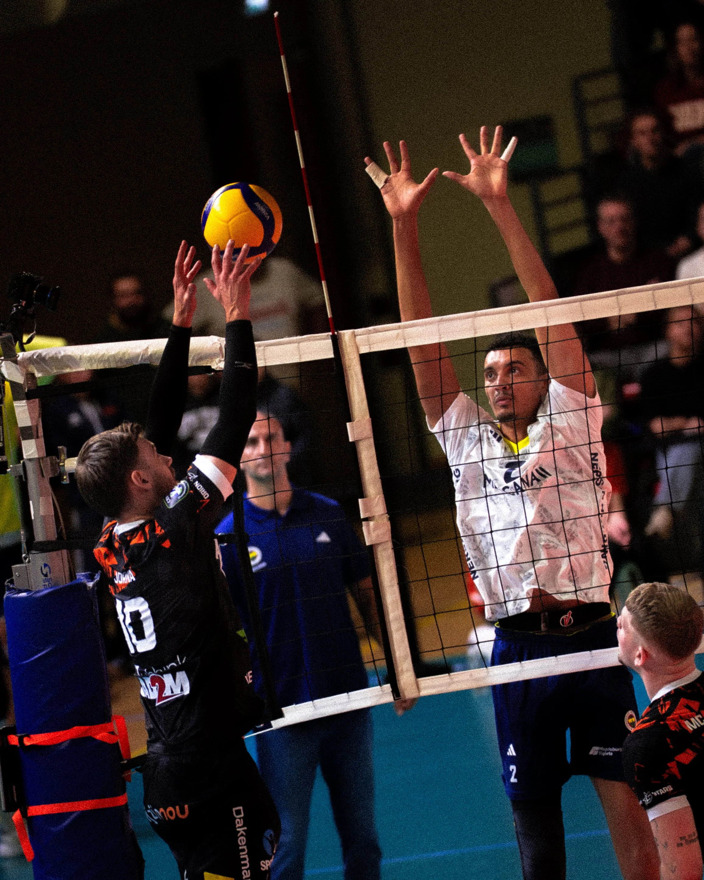 Orion Stars Fenerbahce-04139.jpg