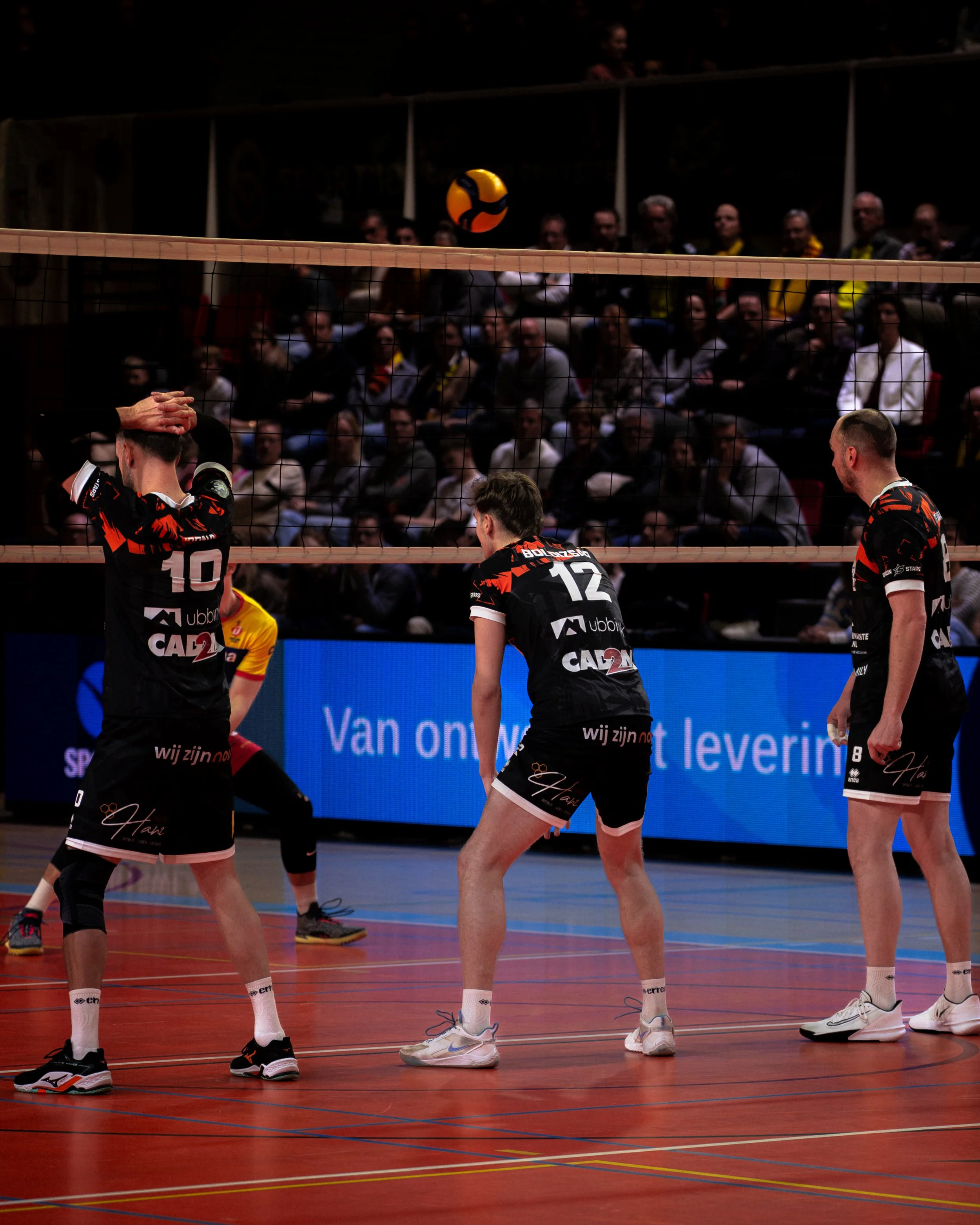 Orion Stars-01253.jpg