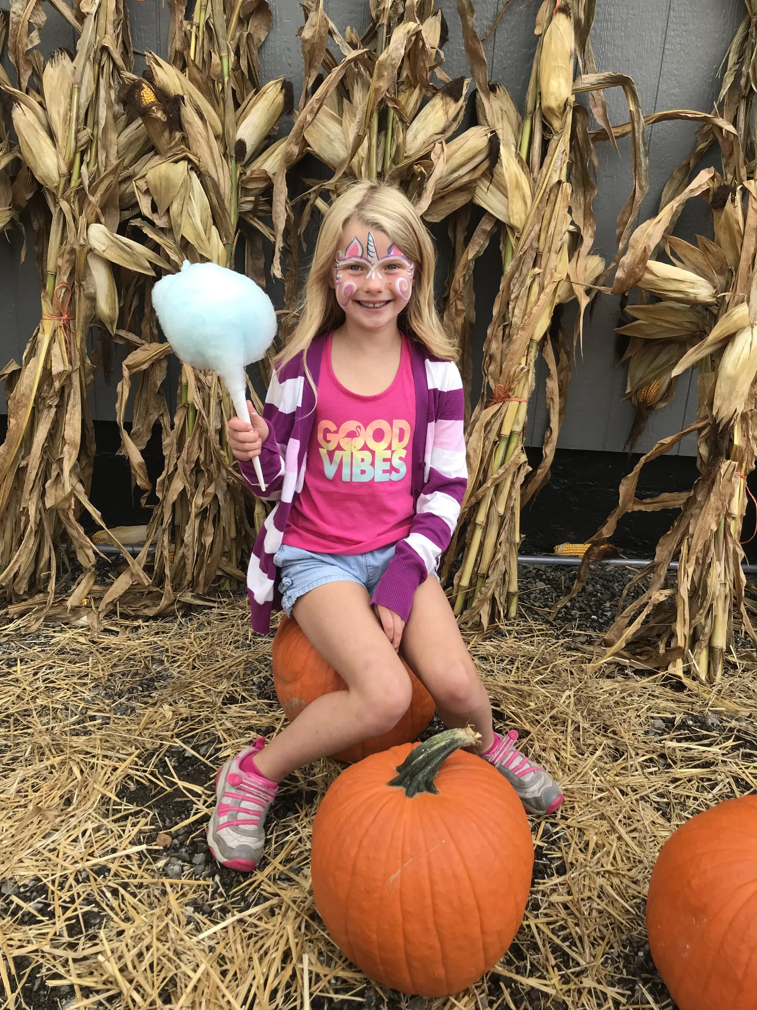 South Lyon Pumpkinfest annual fall festival downtown Michigan