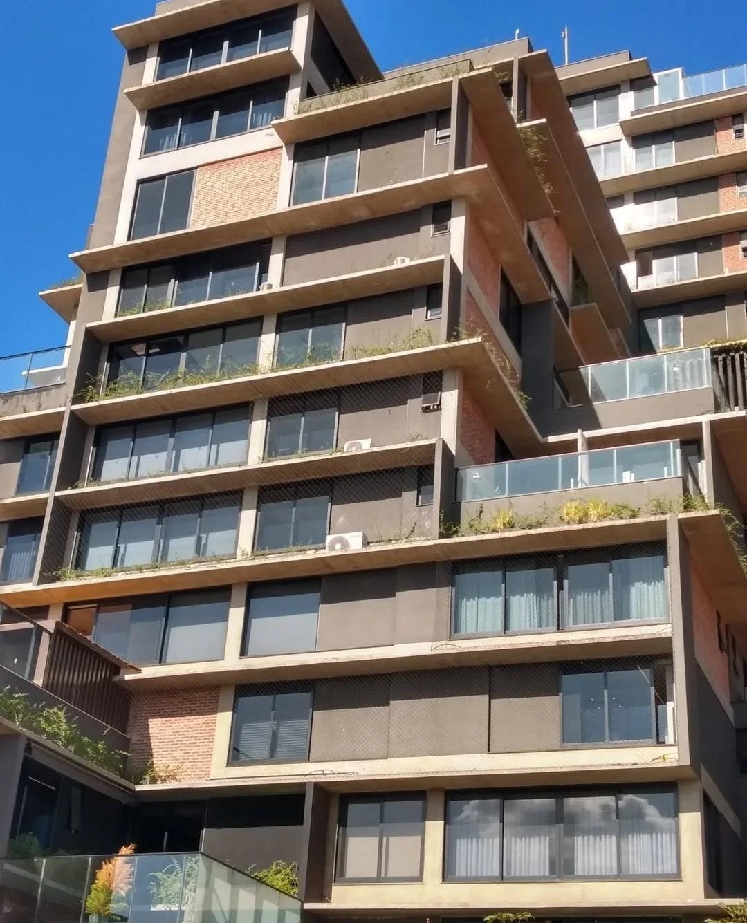 WhatsApp Image 2024-12-09 at 12.24.29.jpeg