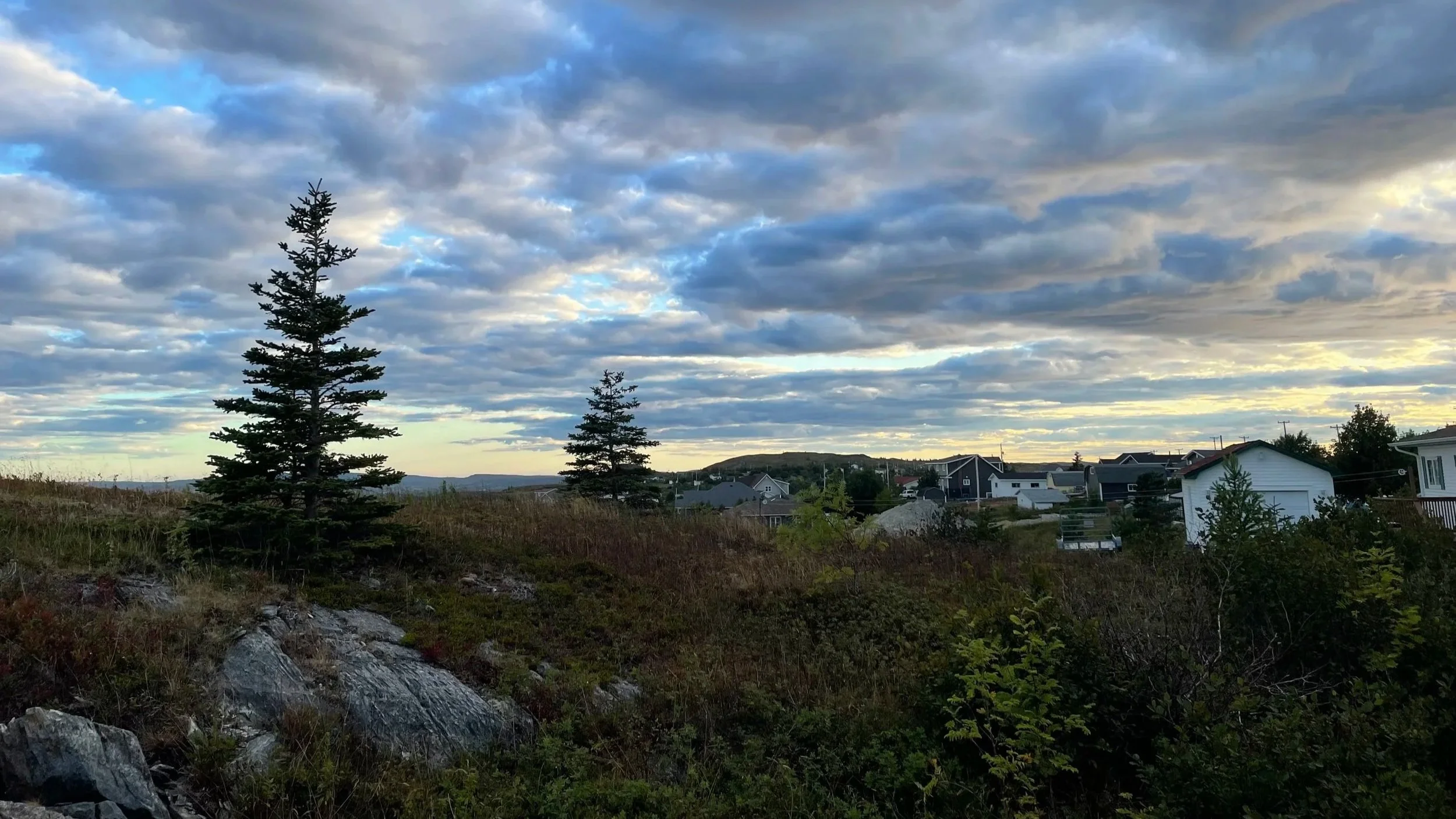 Showers for parts of NL close out the work week — August 22, 2025