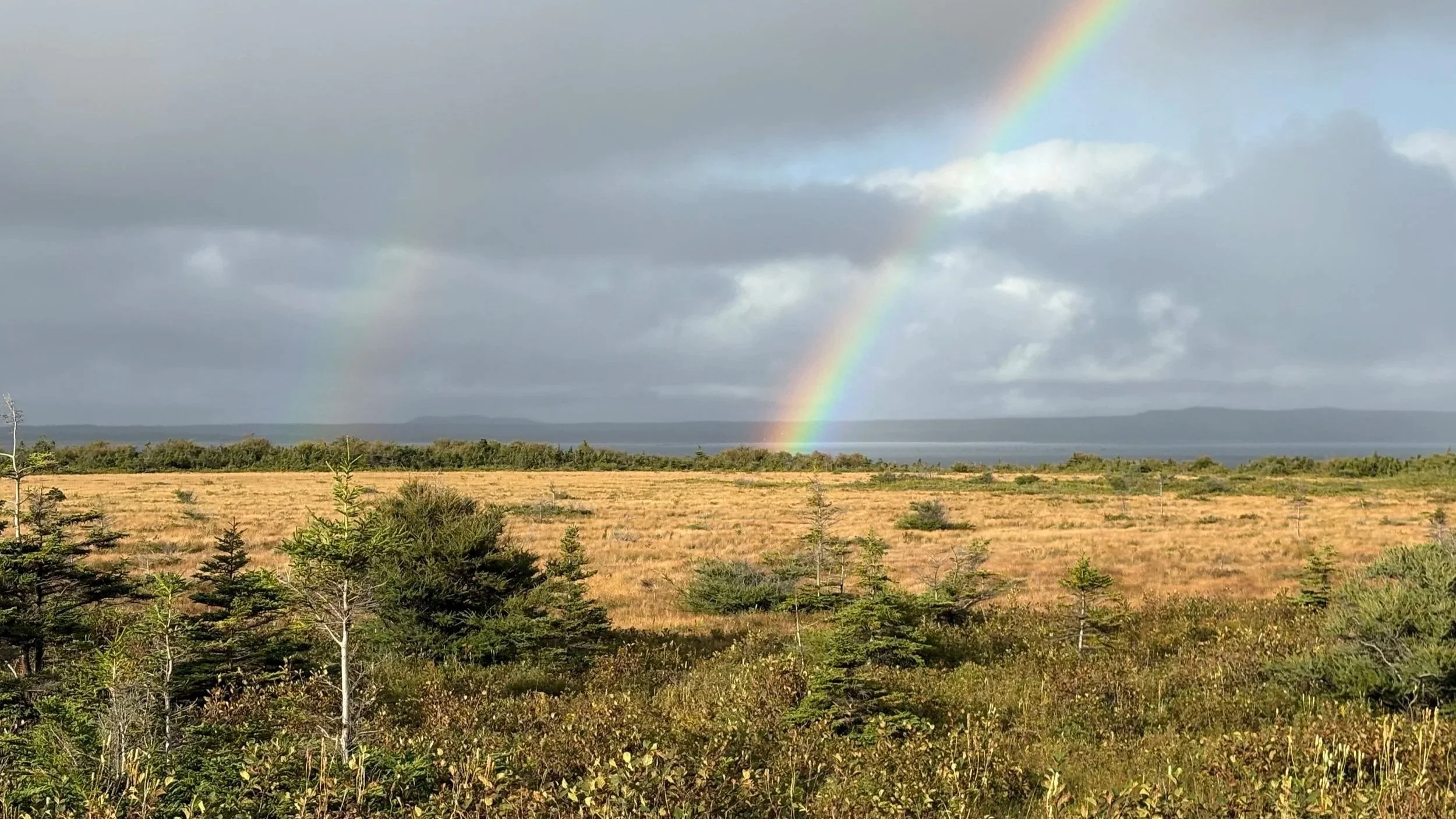Friday Starts Quietly, But Rain And Snow Return By Evening To Much Of NL