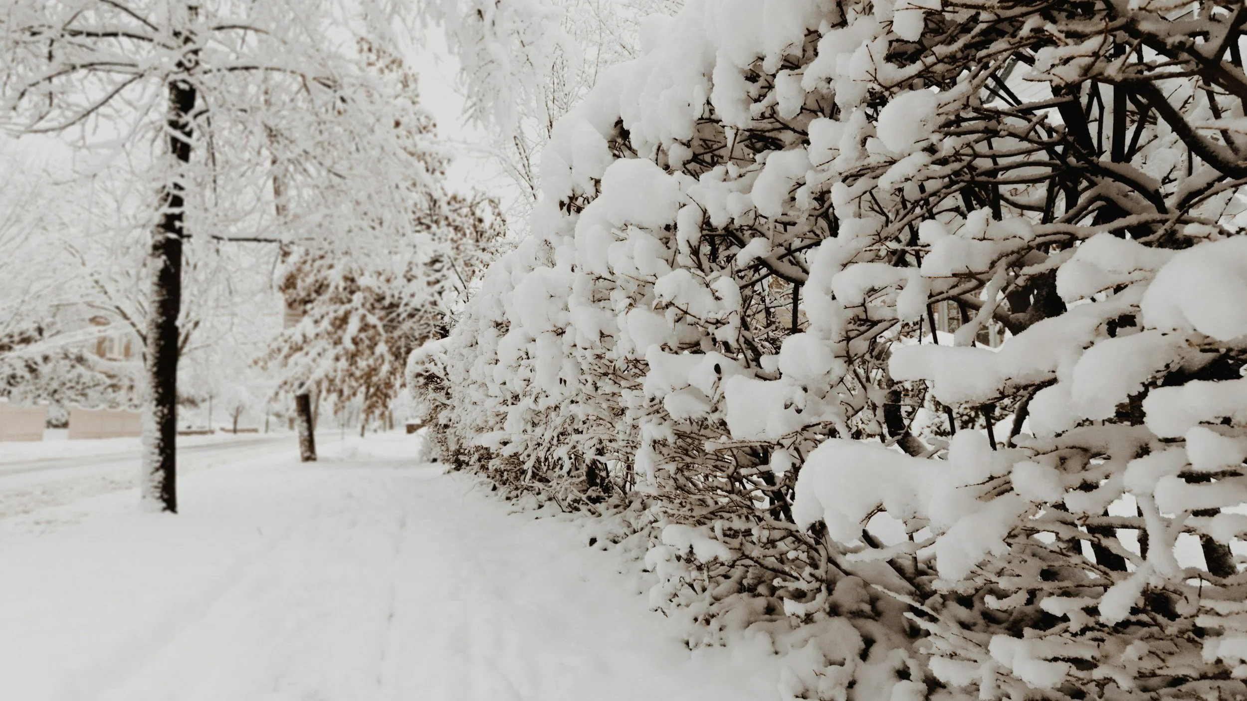 Thursday Morning Weather Update — December 4, 2025