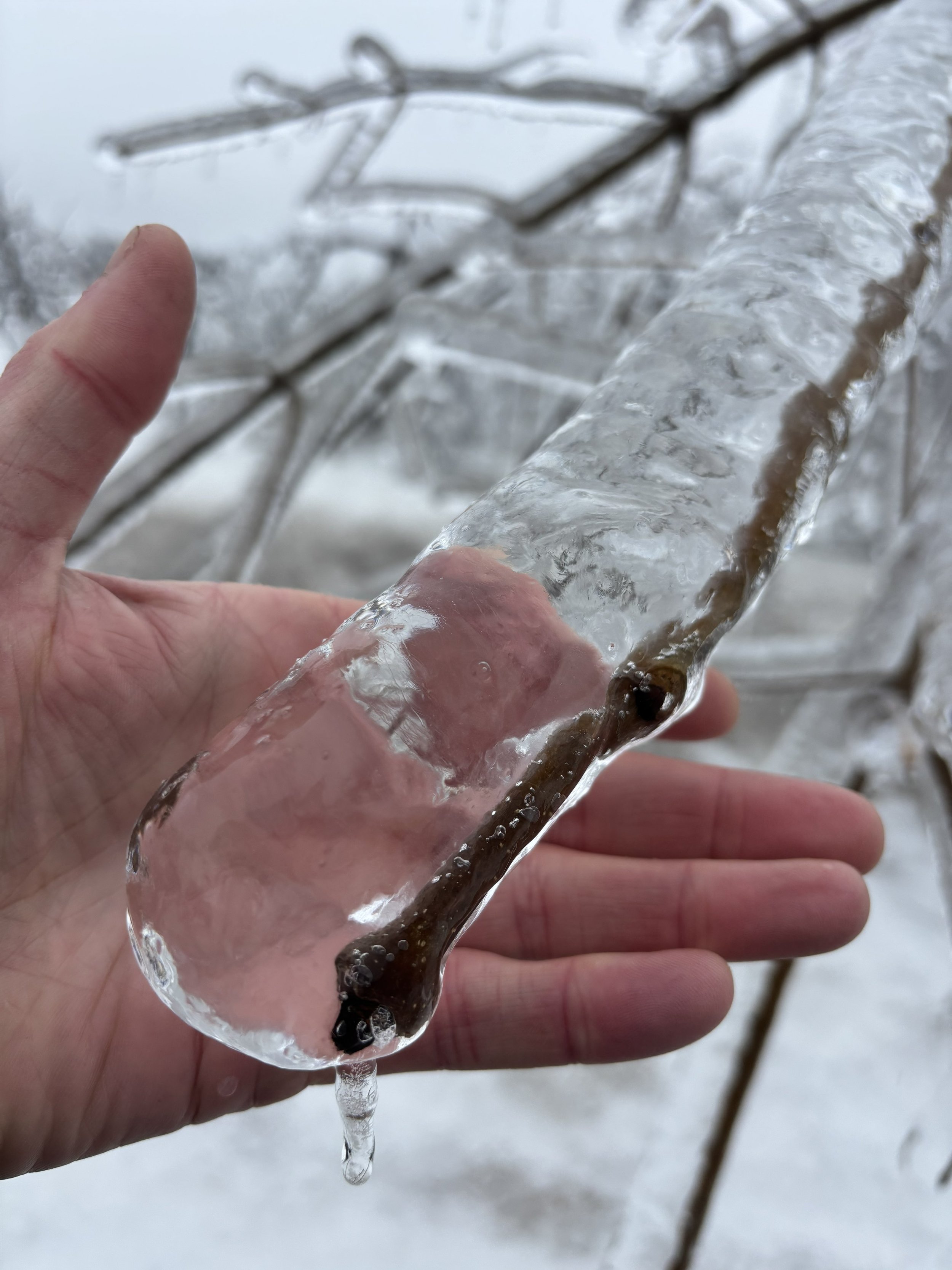 Freezing Rain and Snow Arrive late Tuesday — Special Weather Statements Issued by Environment Canada