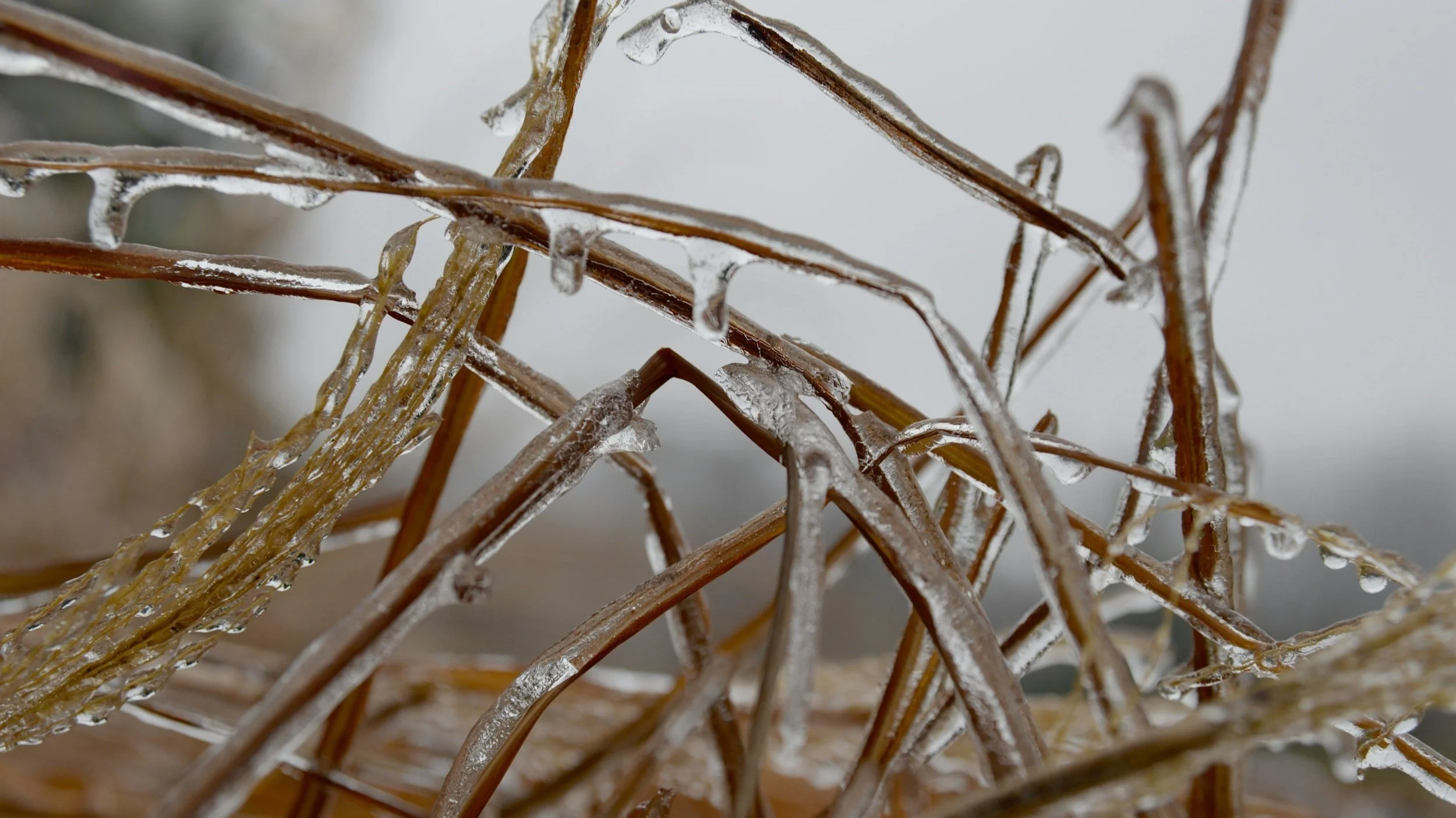 Wednesday Morning’s Weather Briefing — April 22, 2026