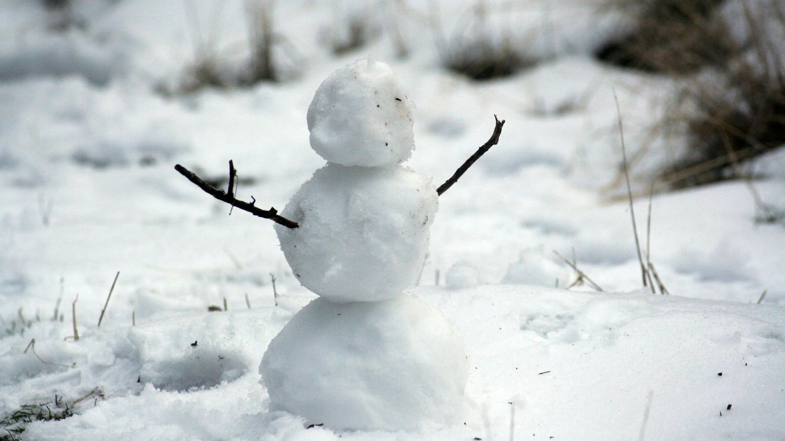 Friday Morning’s Weather Briefing: More Snow On The Way — April 24, 2026