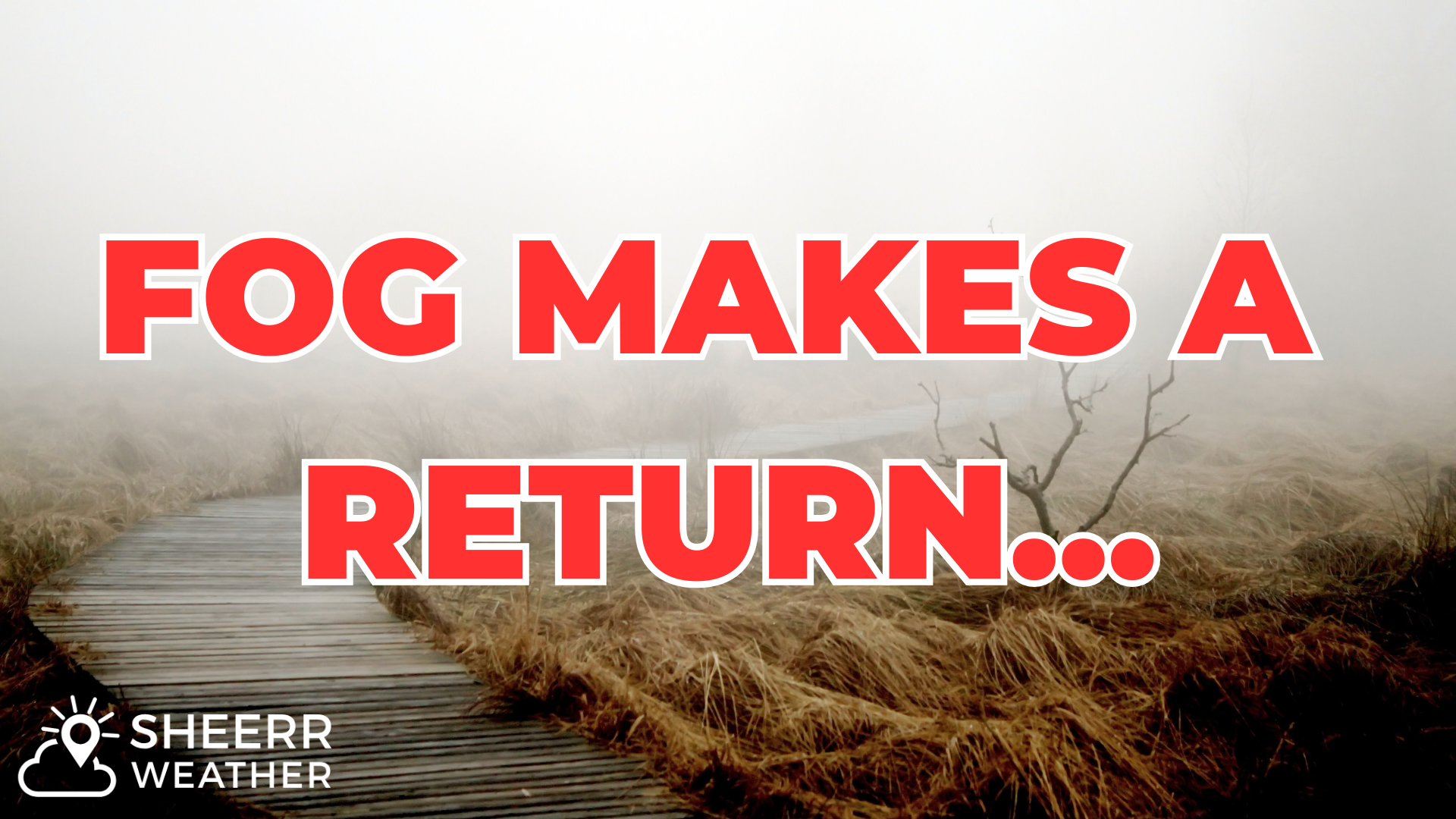 Fog and drizzle make a return to NL as we close out the week