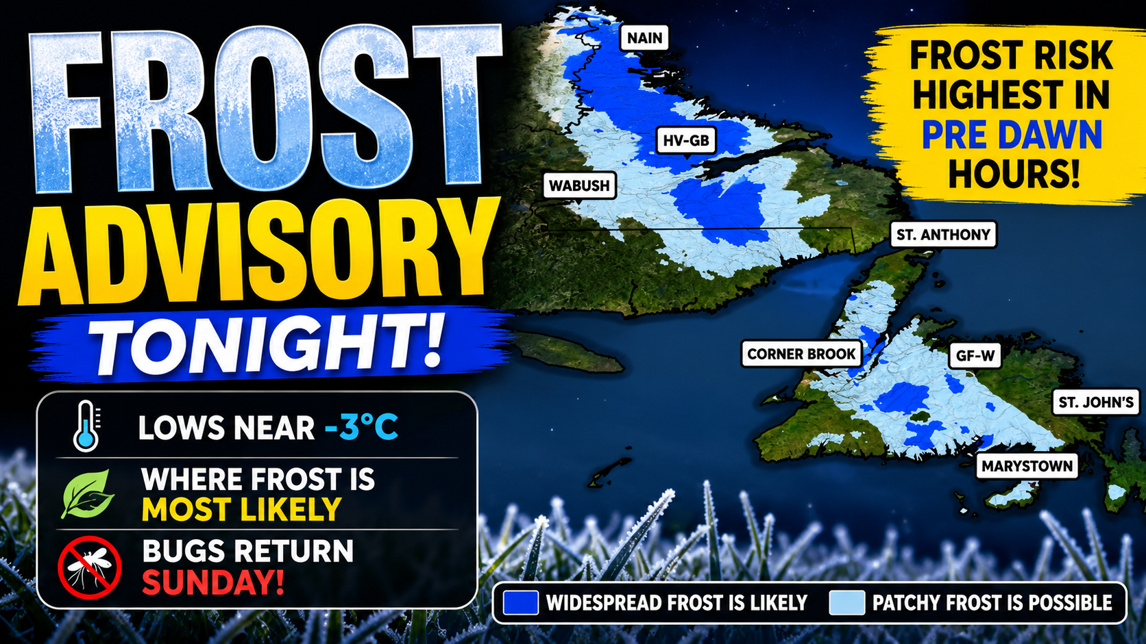 Newfoundland Will See Some Frost Tonight, Which Is Followed By A Decent Weekend Across Most Of NL