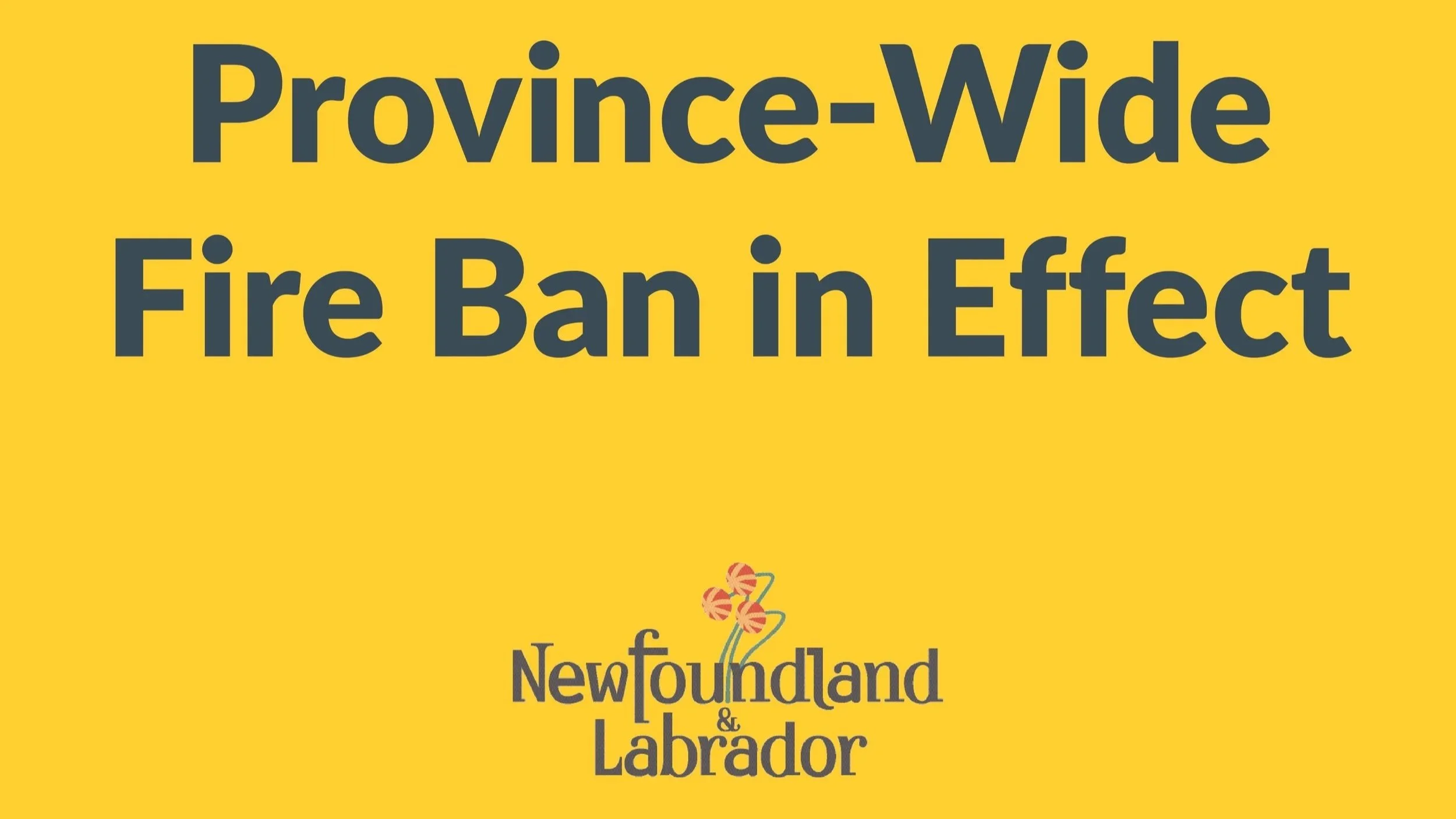 Government of NL institutes Province-wide Fire Ban Effective Immediately until July 17
