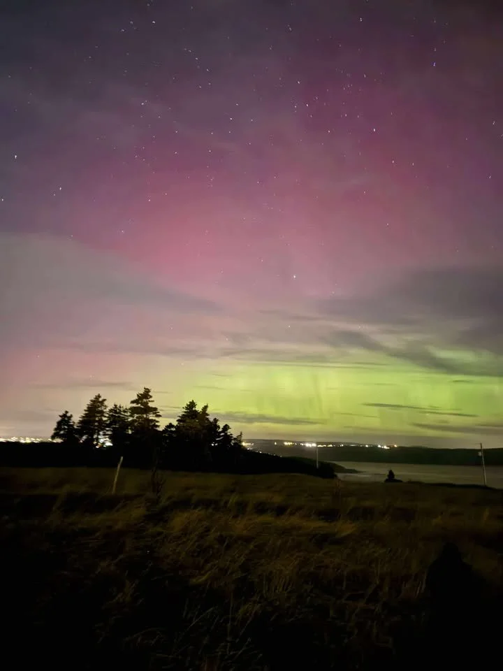 Jessica Clancey | Outer Cove, NL