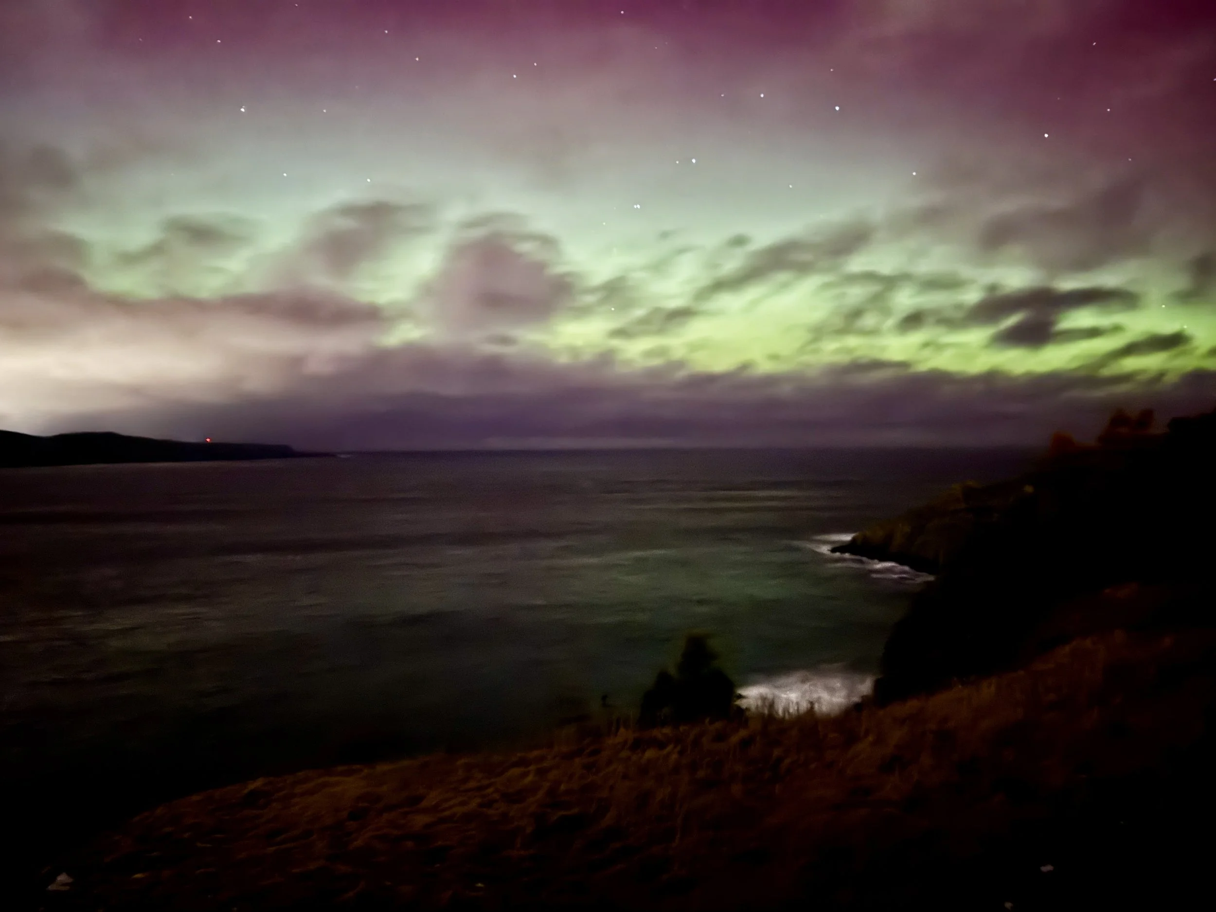 The Northern Lights over Middle Cove last night (January 19, 2026). Credit: Sheerr Weather