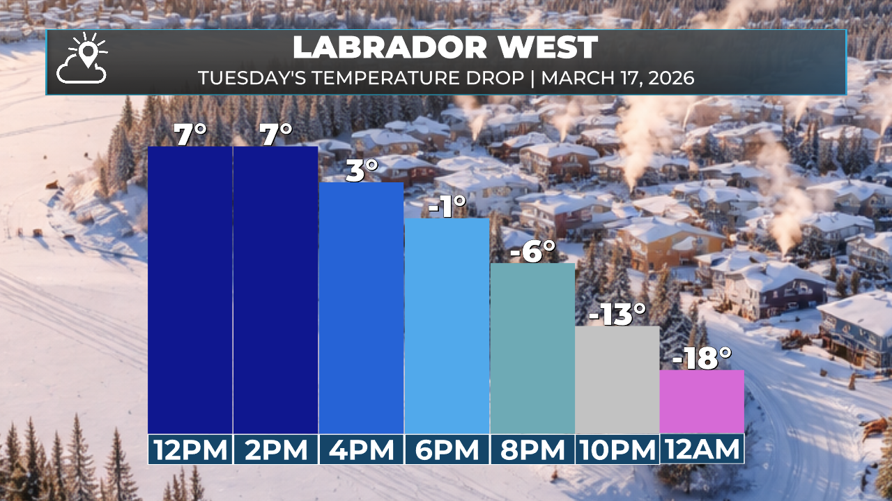 The hourly temperature forecast for tomorrow (March 17, 2026) in Labrador West