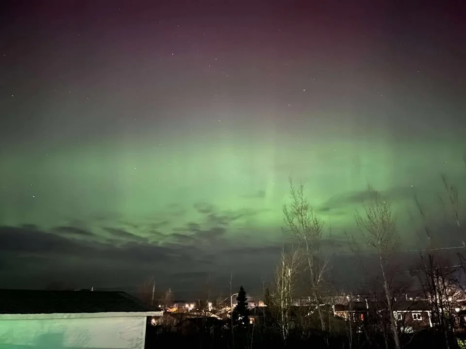 Ben Marx | Grand Falls-Windsor, NL