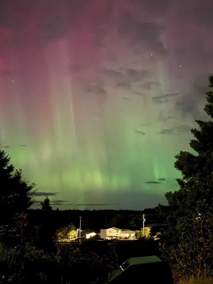 Dawn Joyce | Lark Harbour