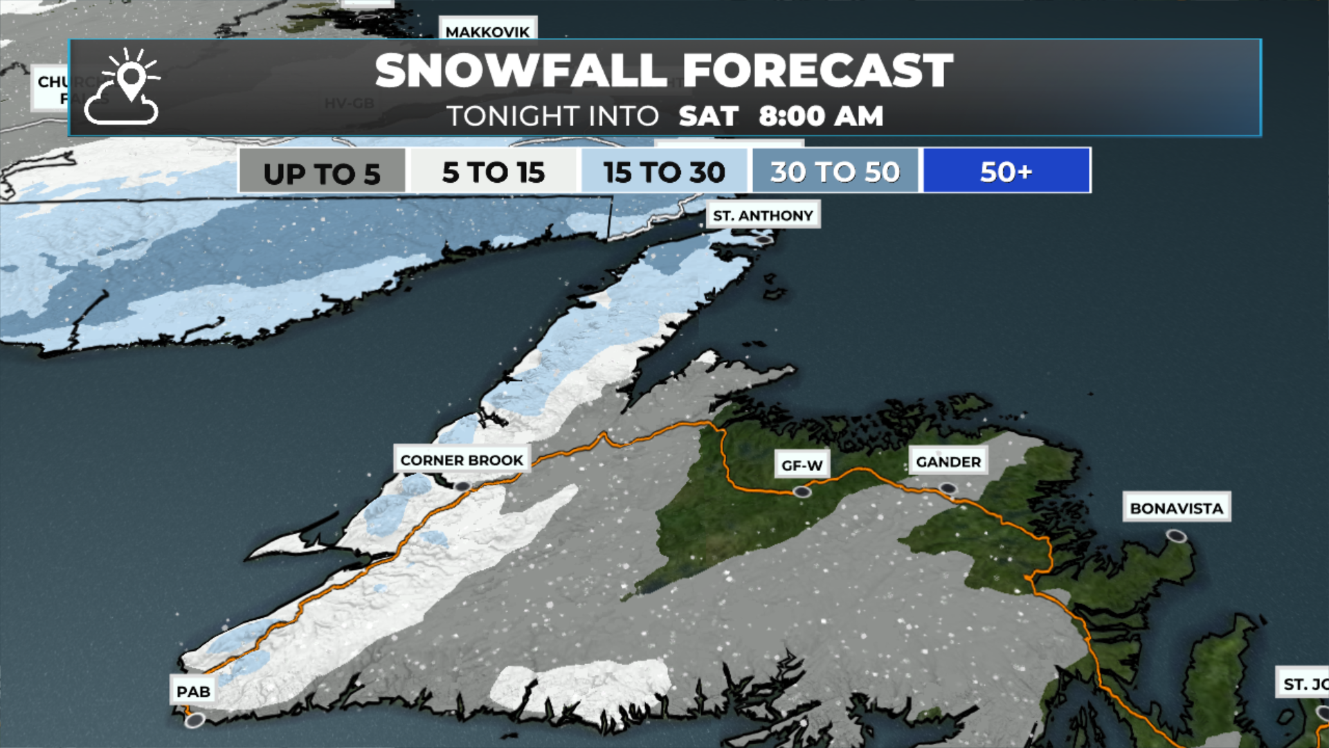 Newfoundland snowfall between Friday afternoon and 8 AM Saturday (January 17, 2026).