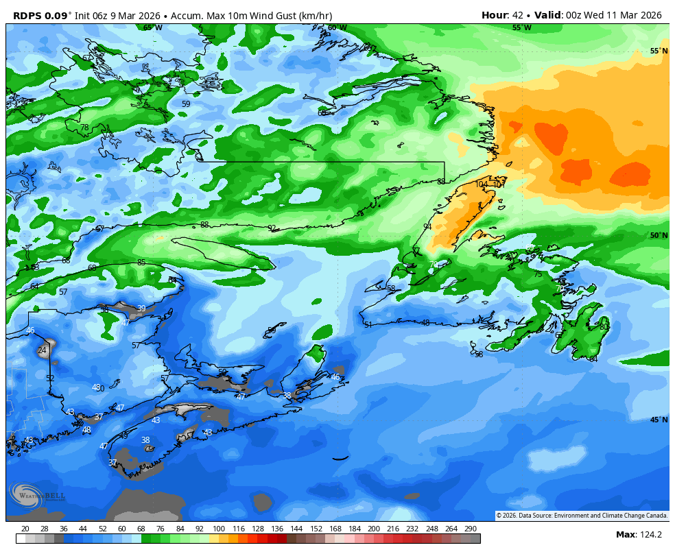 The expected peak wind gusts tomorrow - March 10, 2026