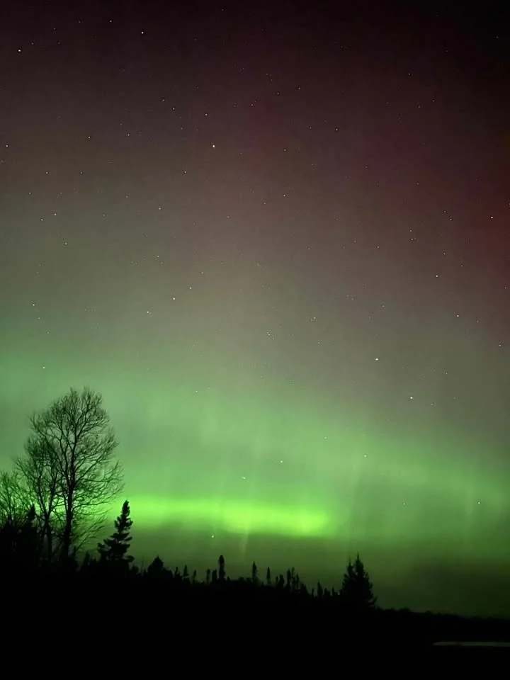 Rhonda King | Central Newfoundland