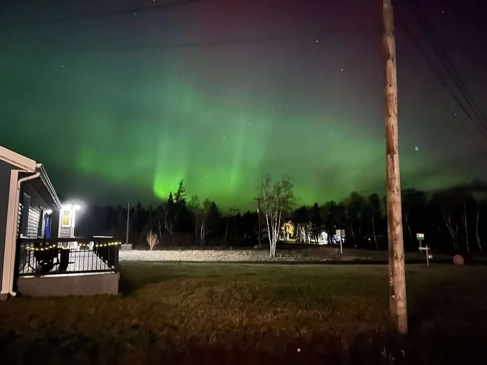 Ashley Gillingam | Wings Point, NL