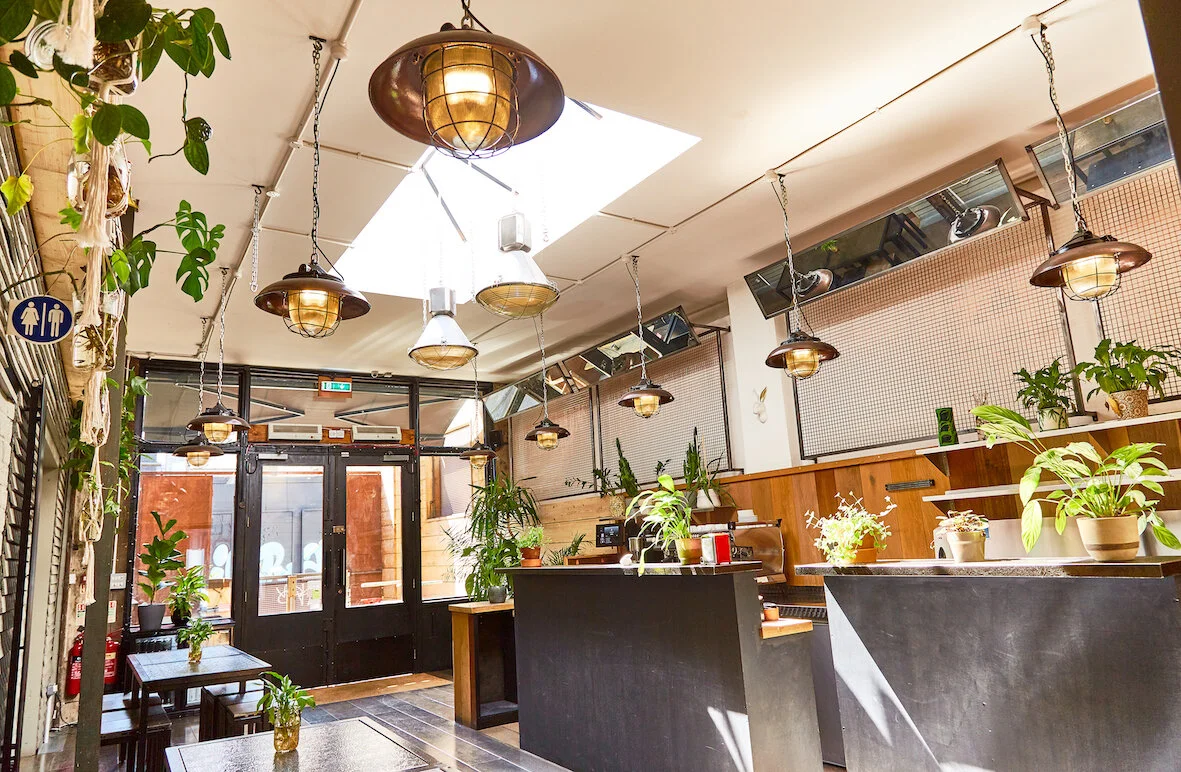 Interior of a cozy cafe or restaurant with hanging pendant lights, potted plants, and a counter with a cash register, near a glass door.