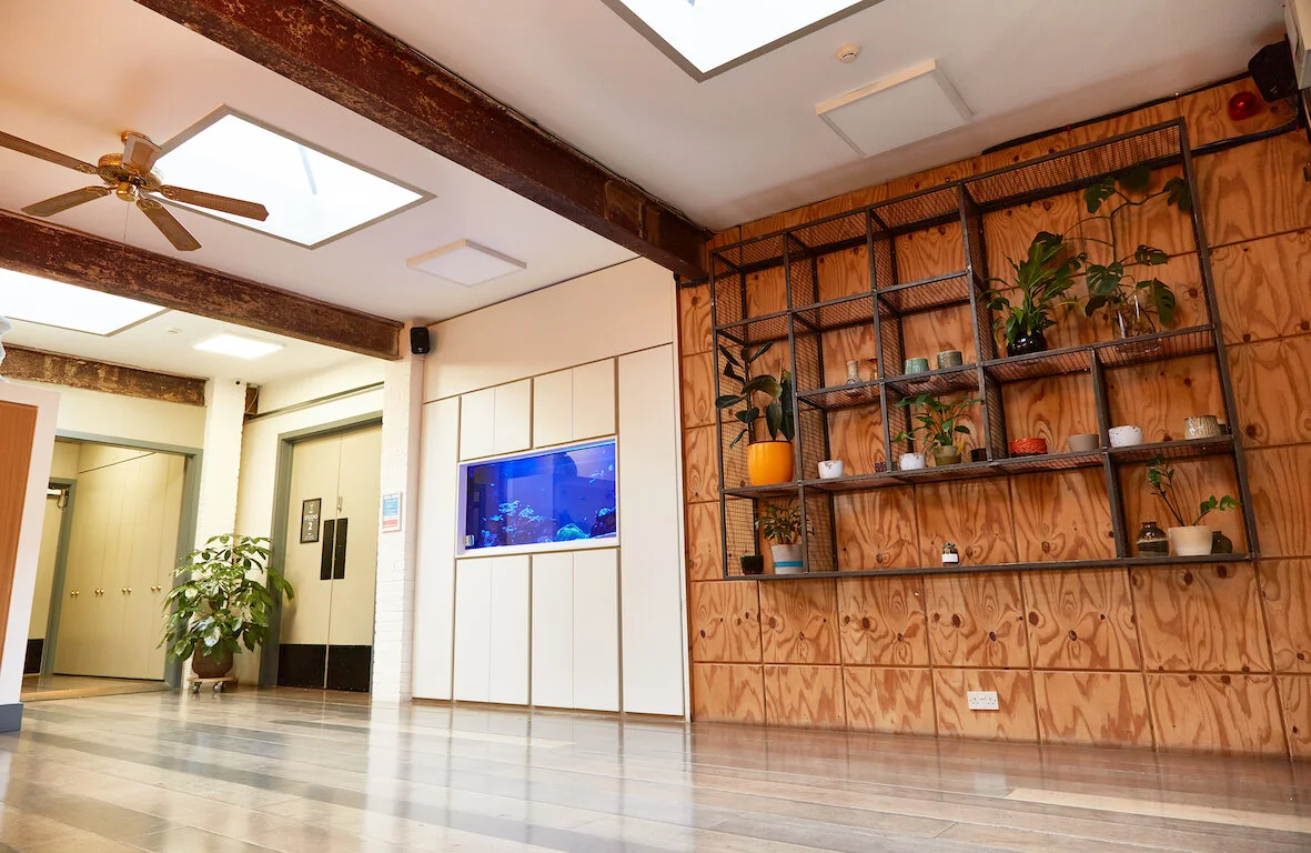 Interior of a modern building with wooden and white wall decor, an aquarium, potted plants, and decorative shelves.