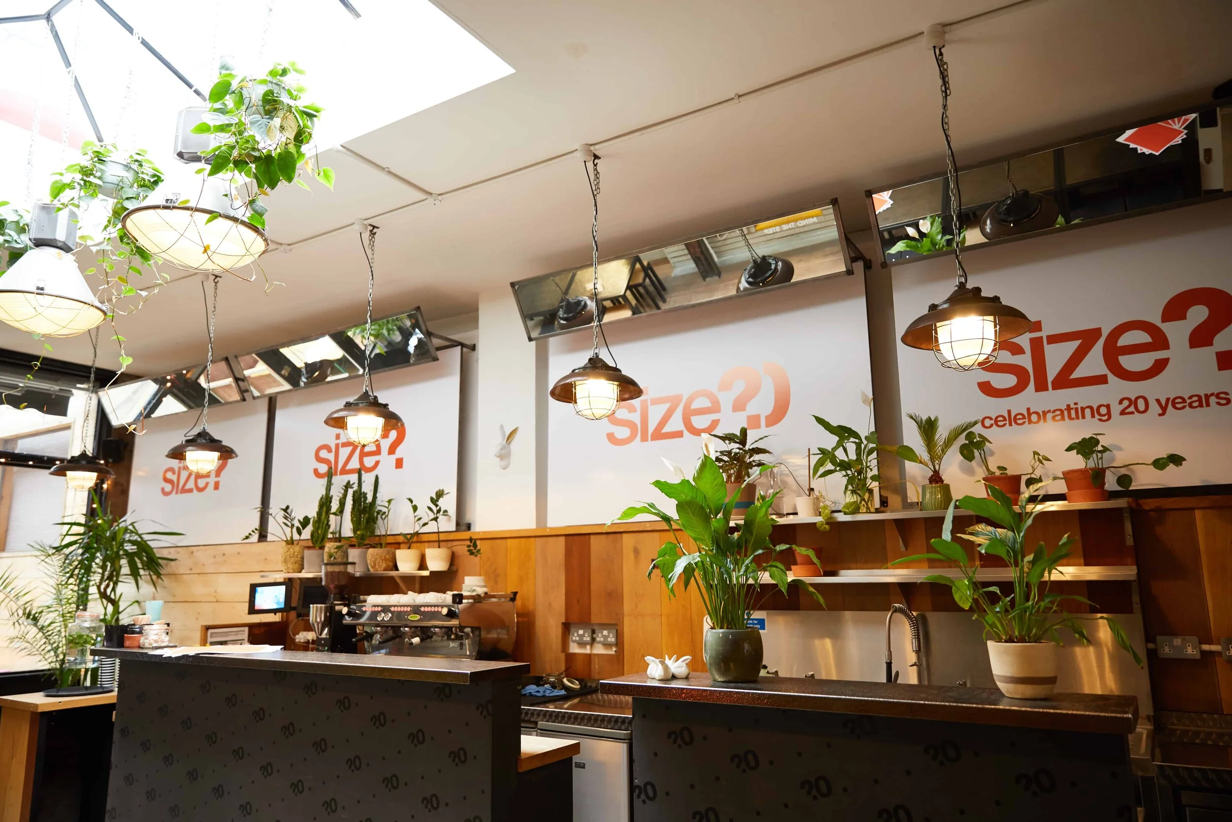Indoor cafe or restaurant with hanging lights, potted plants on shelves and counters, and a wall with logos and text celebrating 20 years.