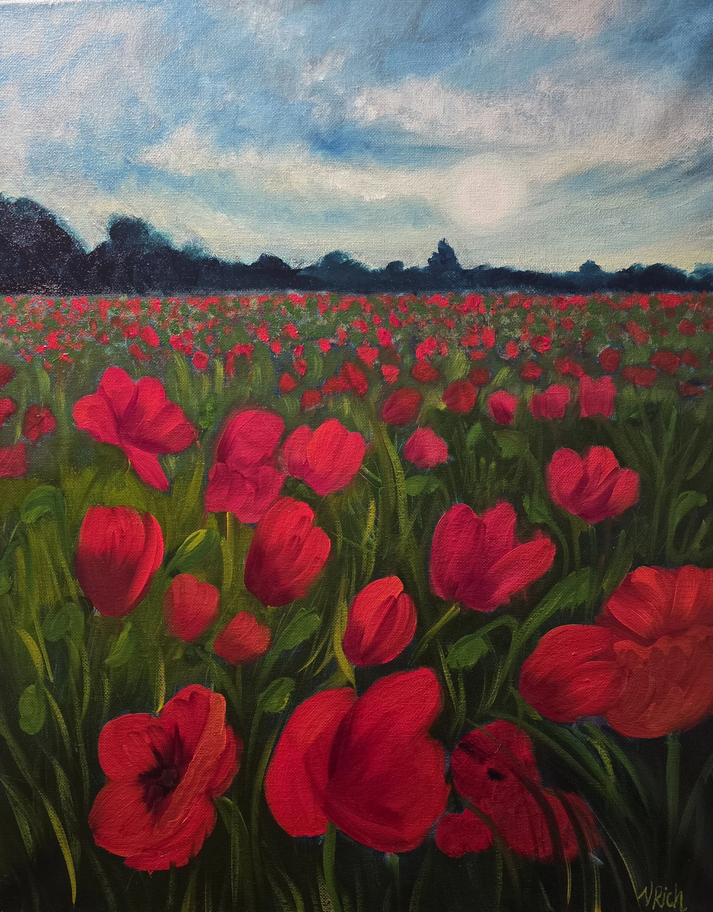 Field of Poppies
16" x 20" Oil Painting on Canvas
