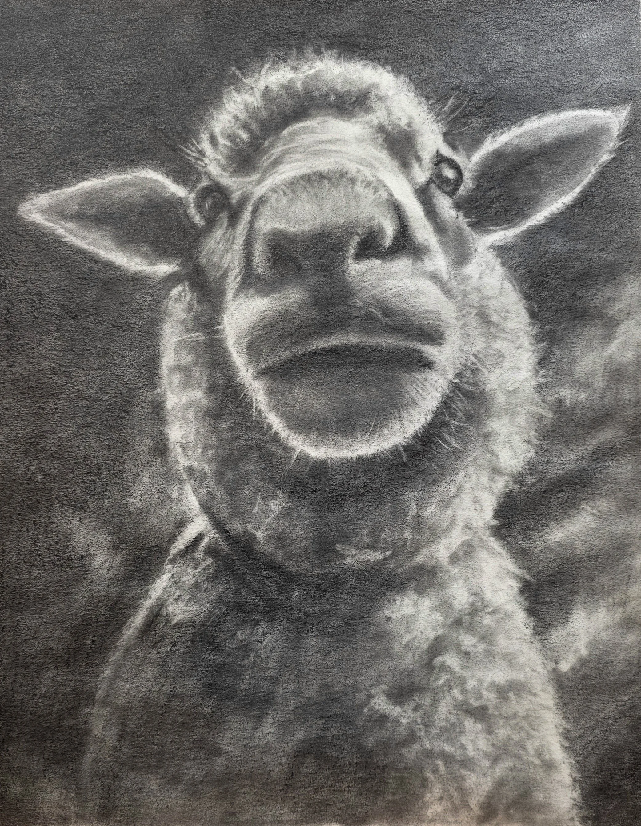 Lamb in Graphite