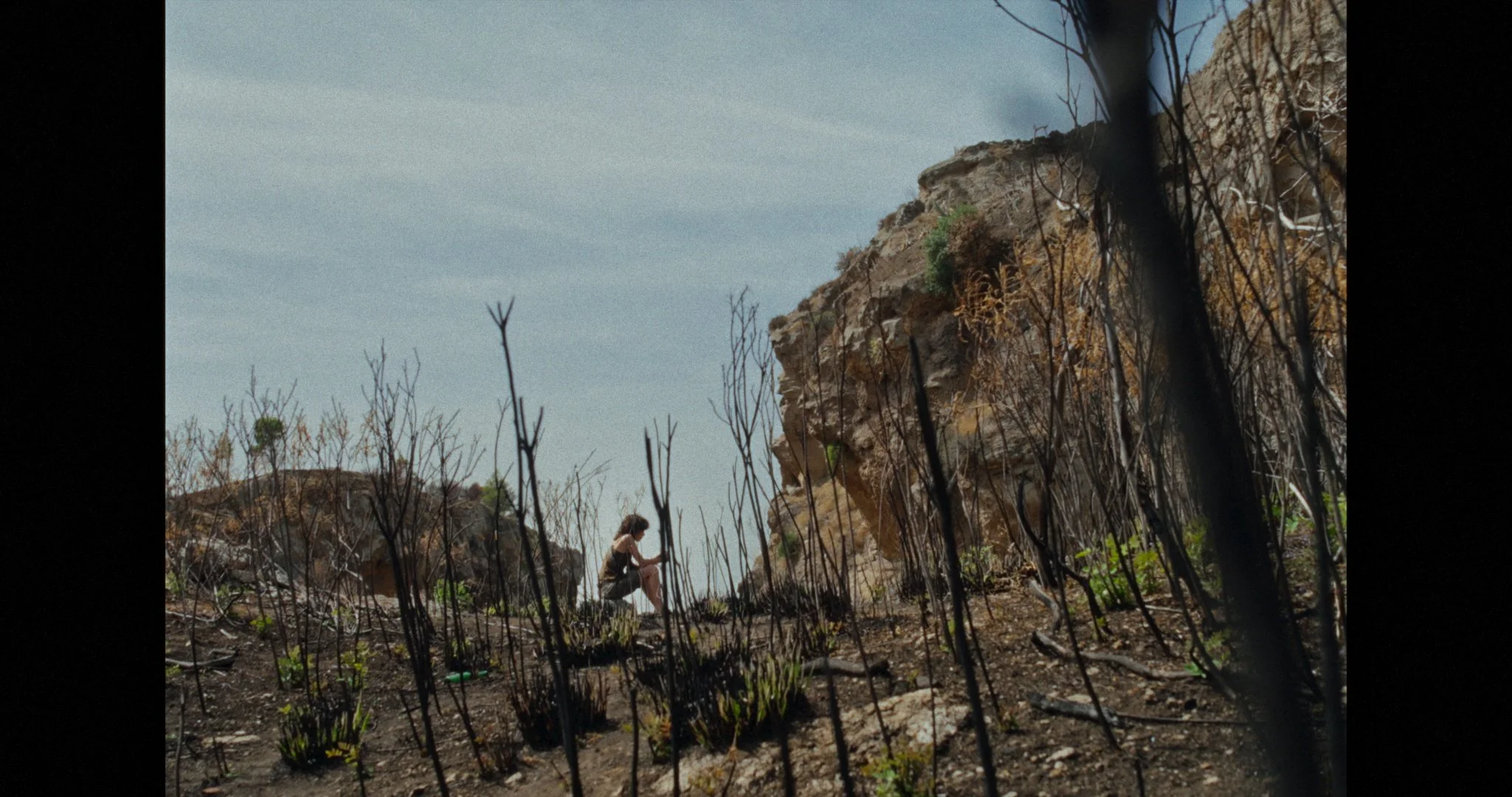 Still 2026-02-24 120748_1.5.6.jpg