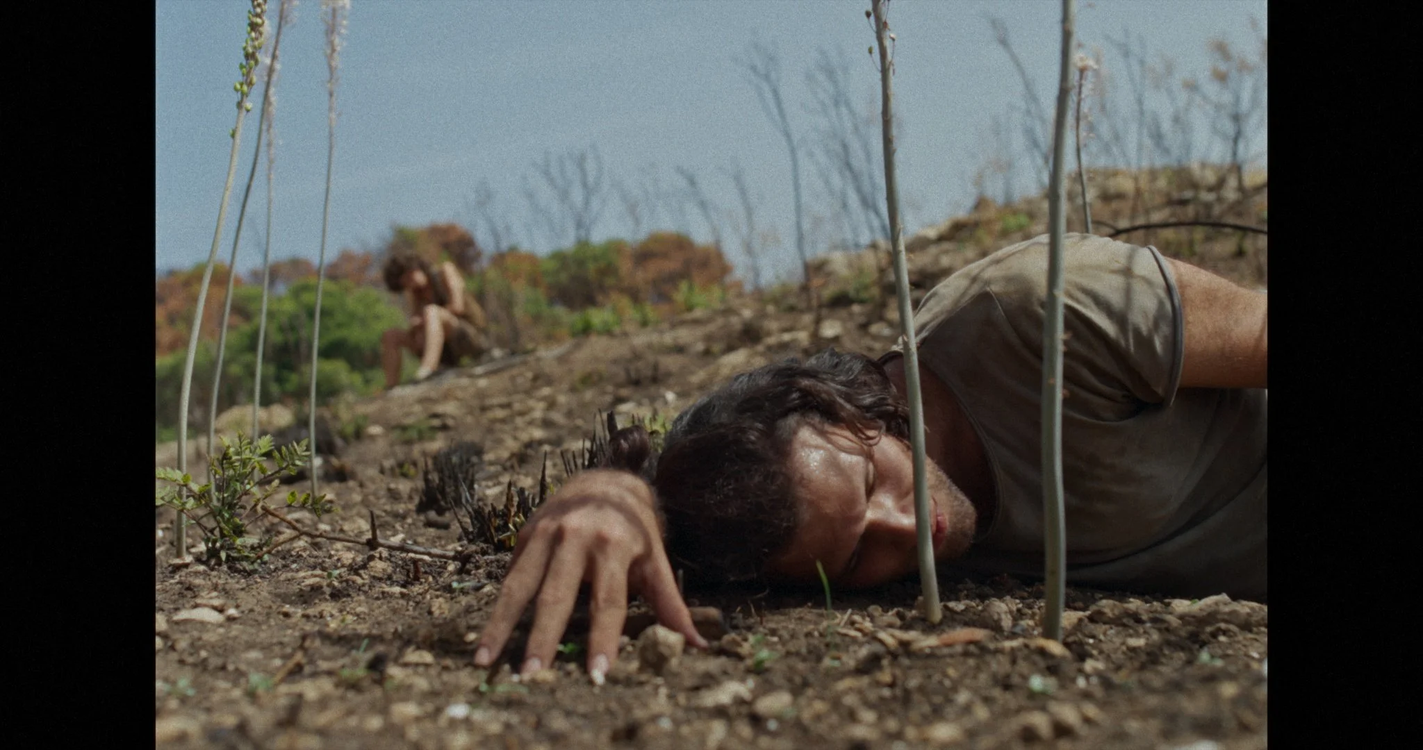 Still 2026-02-24 120748_1.5.7.jpg