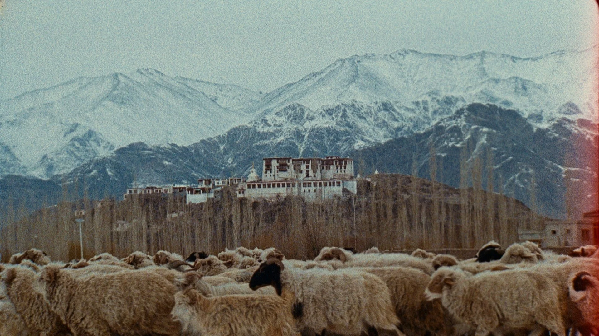 Still 2025-11-13 113747_1.27.1.jpg