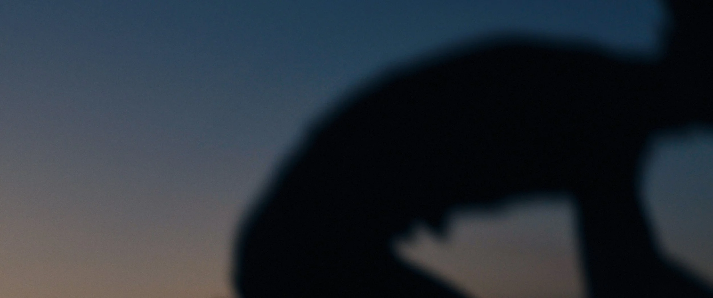 Immagine sfocata di una silhouette di una persona che si piega in avanti, con uno sfondo di cielo al tramonto o al crepuscolo.