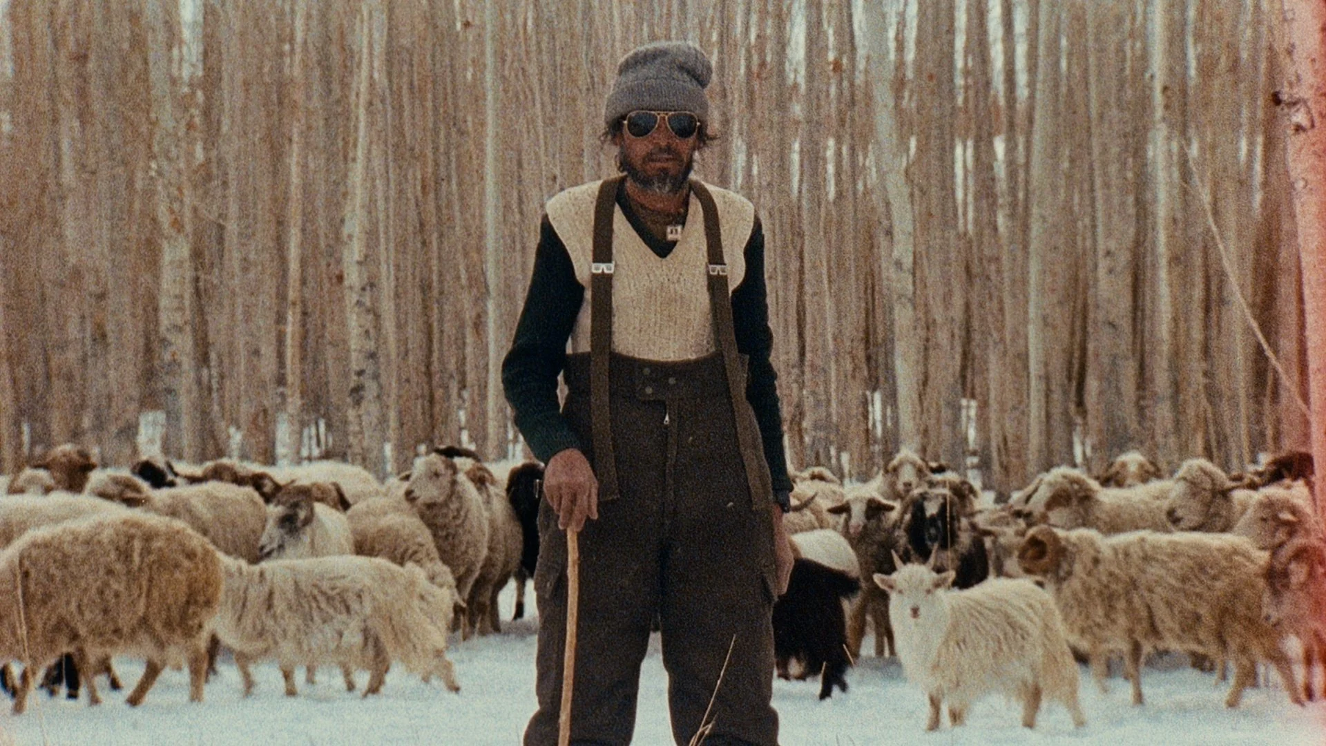 Still 2025-11-13 114905_1.11.1.jpg