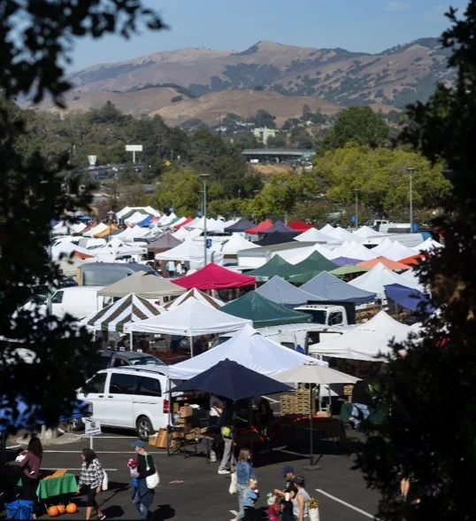 Sunday Marin Farmers Market