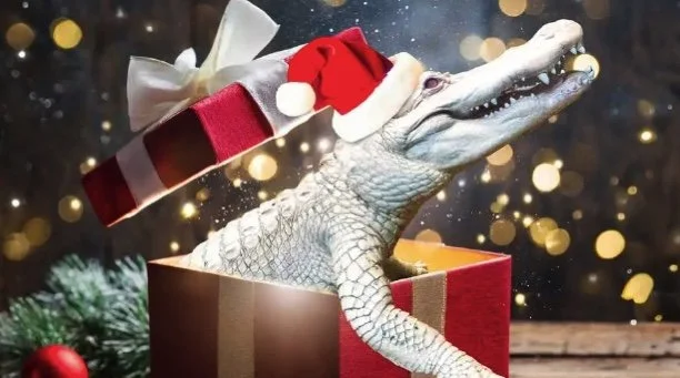 NightLife Holiday Bazaar at the California Academy of Sciences