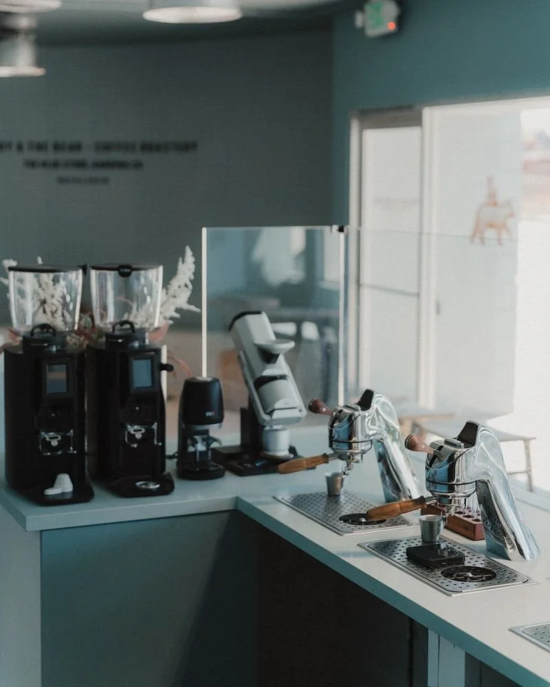 The Boy & The Bear (Gardena)