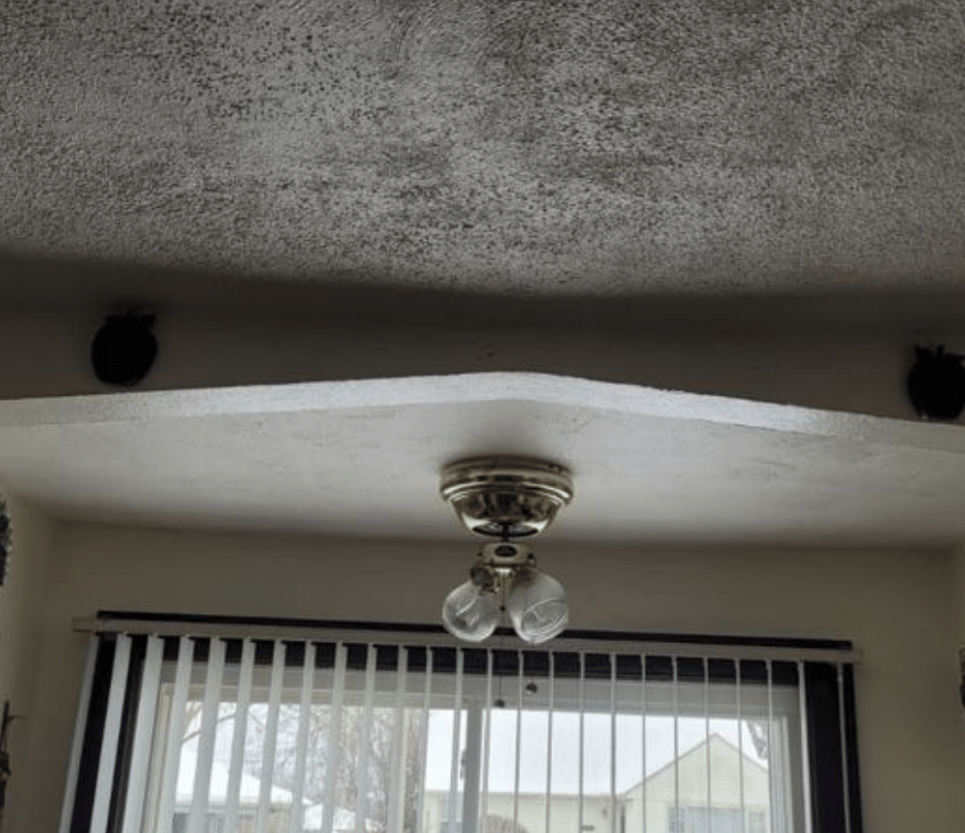 Screenshot 2026-03-04 at 1.06.18 PM.png