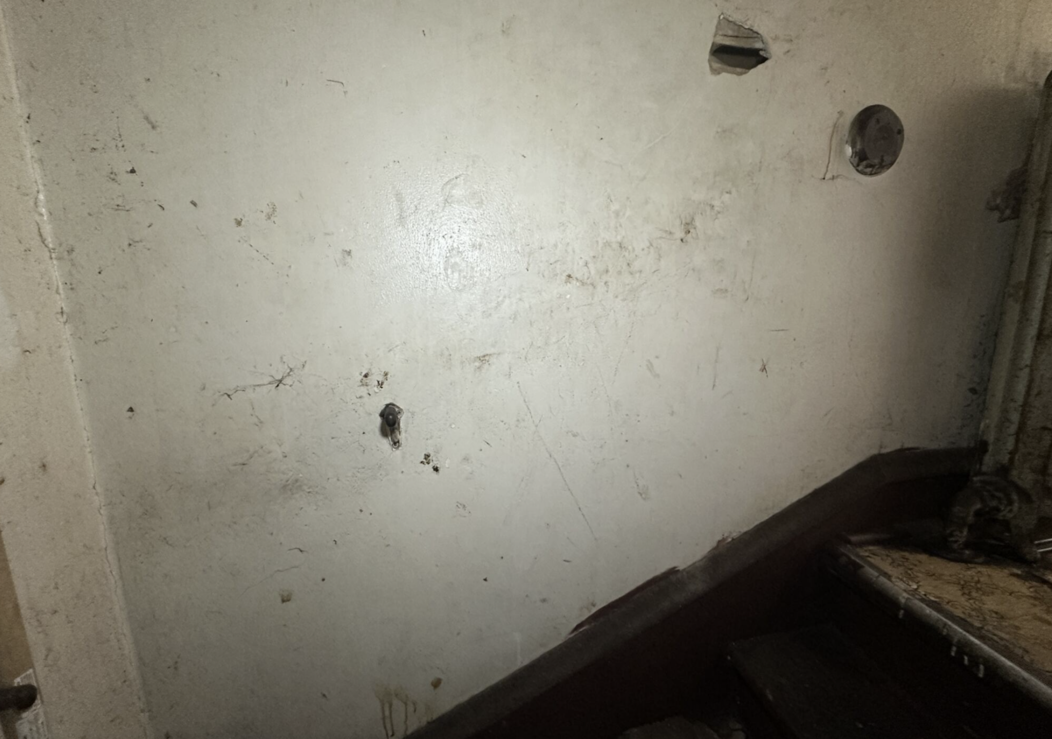 Screenshot 2026-03-17 at 6.35.43 PM.png